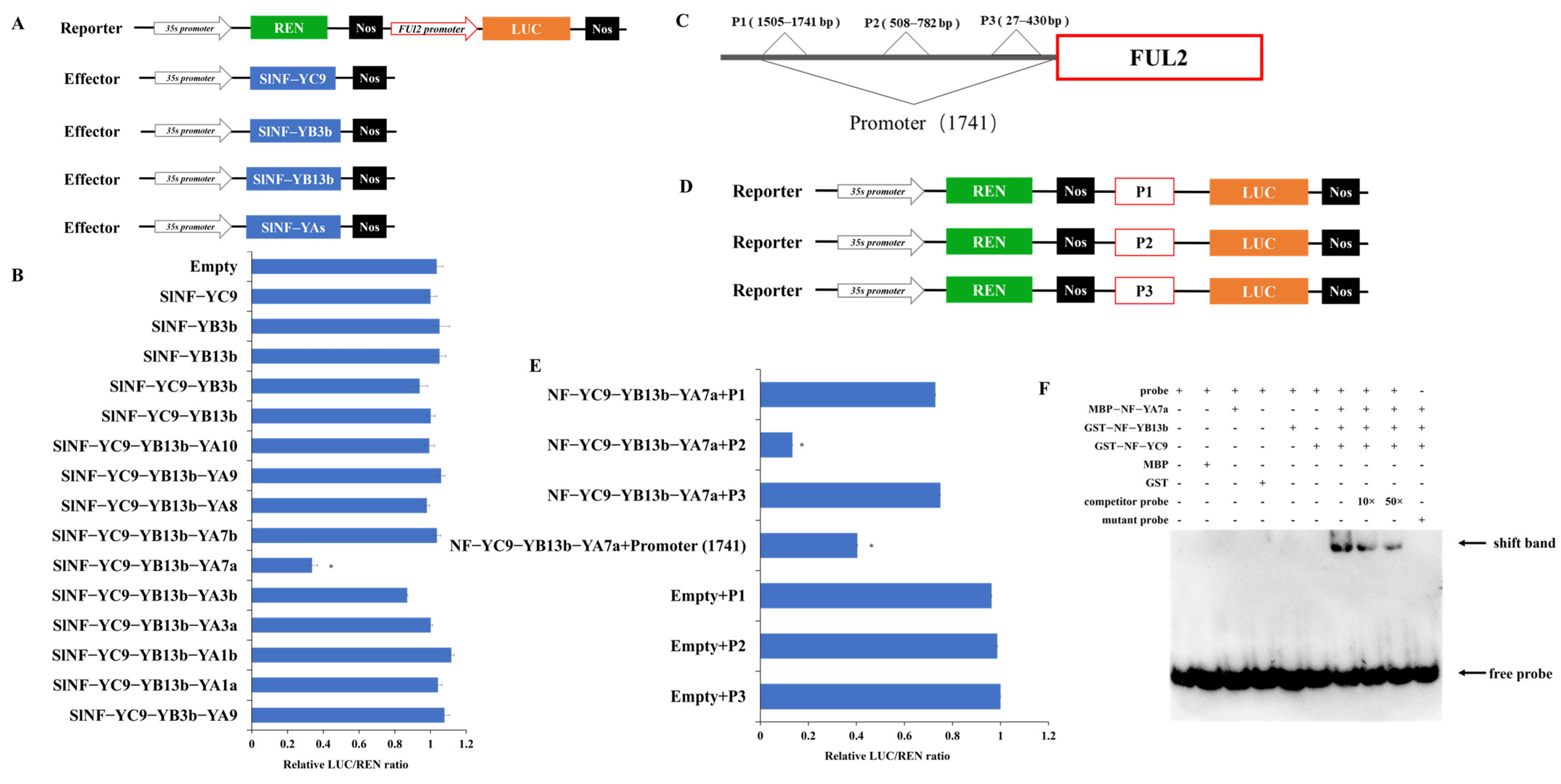 Ijms 26 06511 g007 Ijms 26 06511 g007