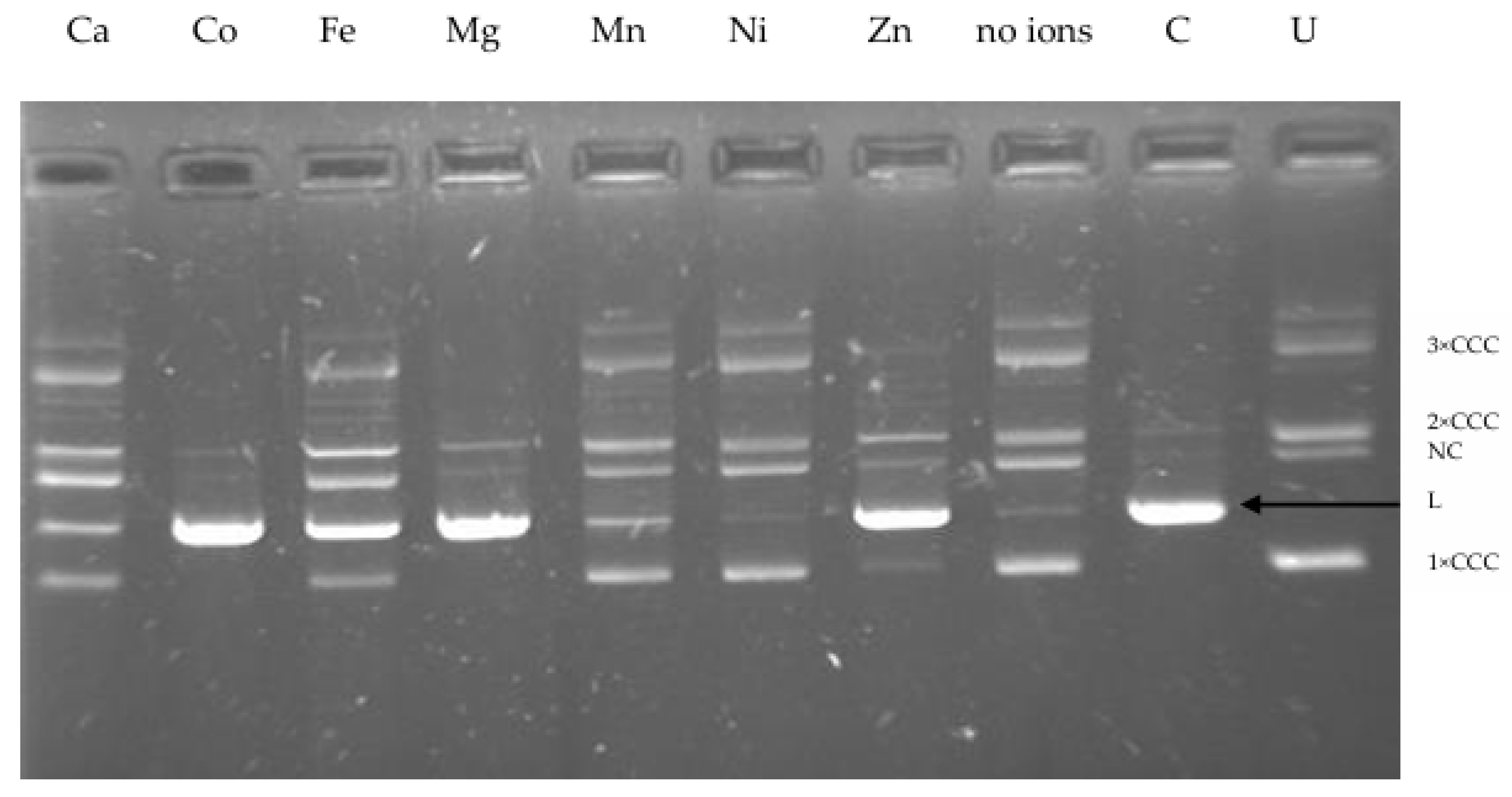 Ijms 26 06548 g002 Ijms 26 06548 g002