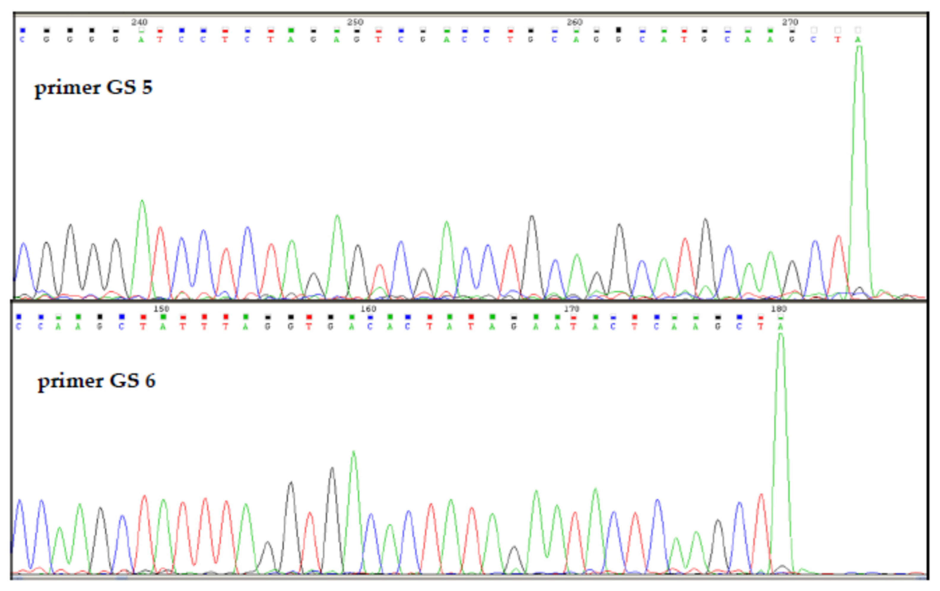 Ijms 26 06548 g004 Ijms 26 06548 g004