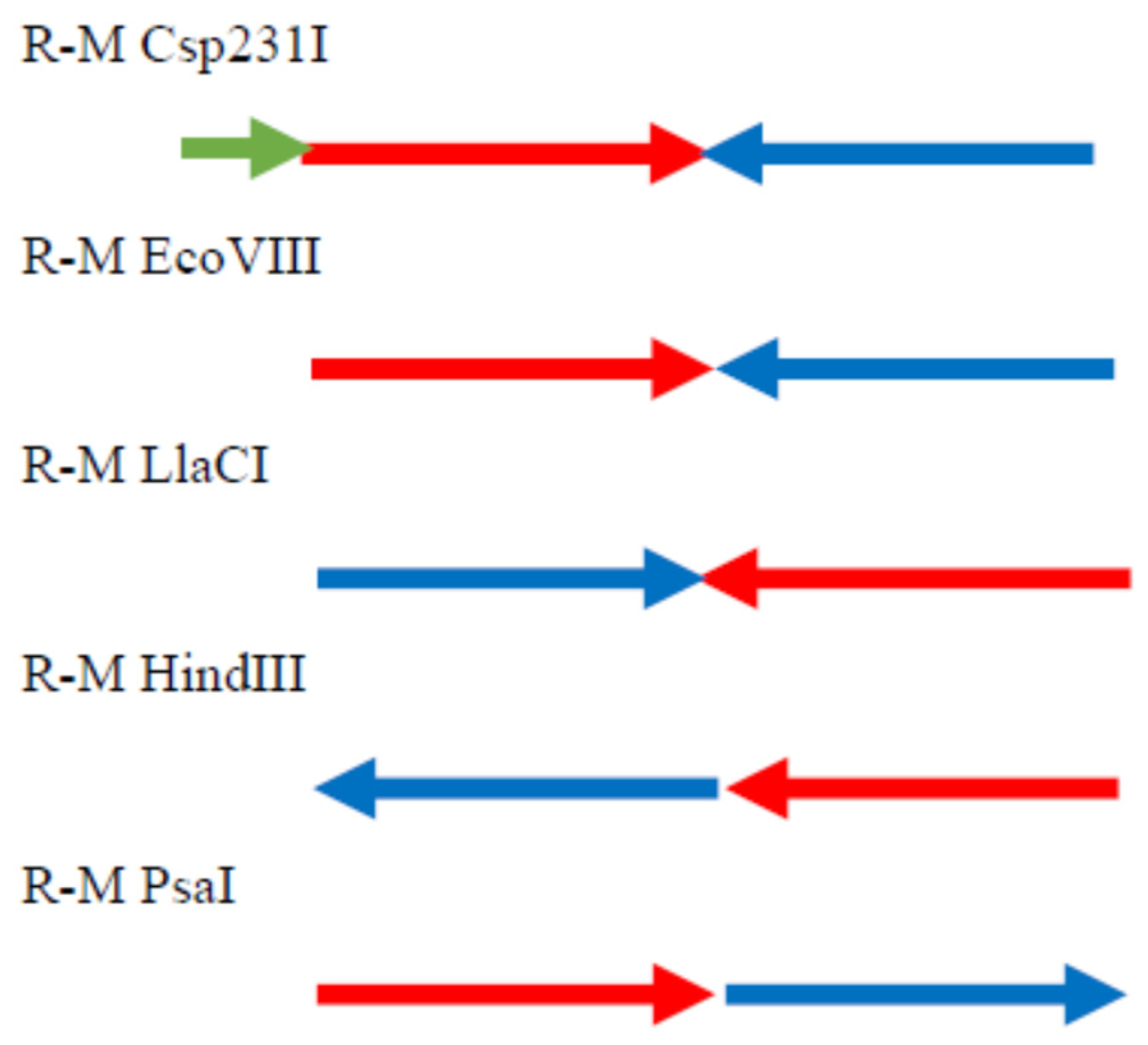 Ijms 26 06548 g006 Ijms 26 06548 g006