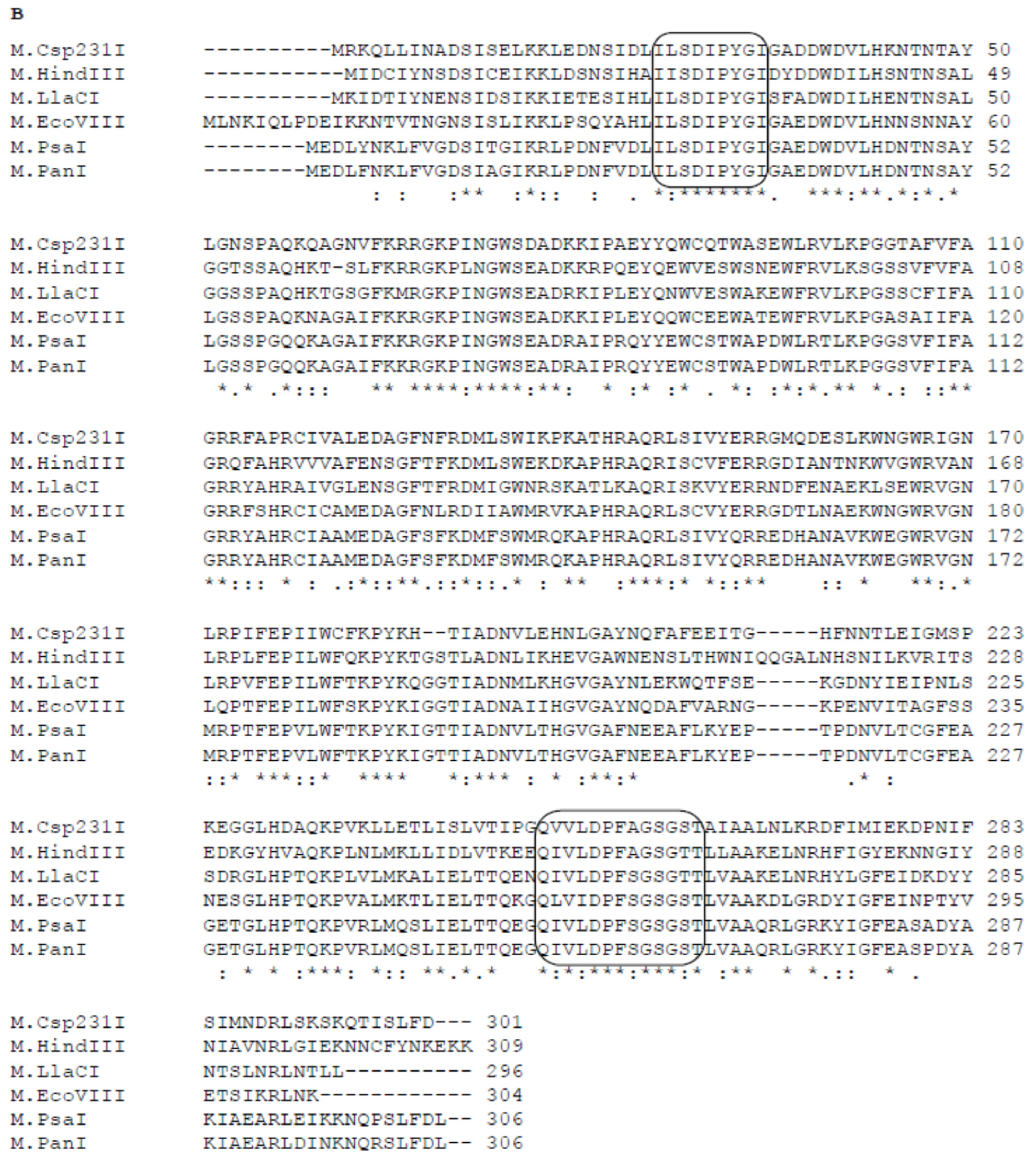 Ijms 26 06548 g007b Ijms 26 06548 g007b