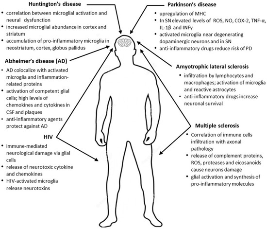Anti-Inflammatory Effects of Cannabinoids in Therapy of