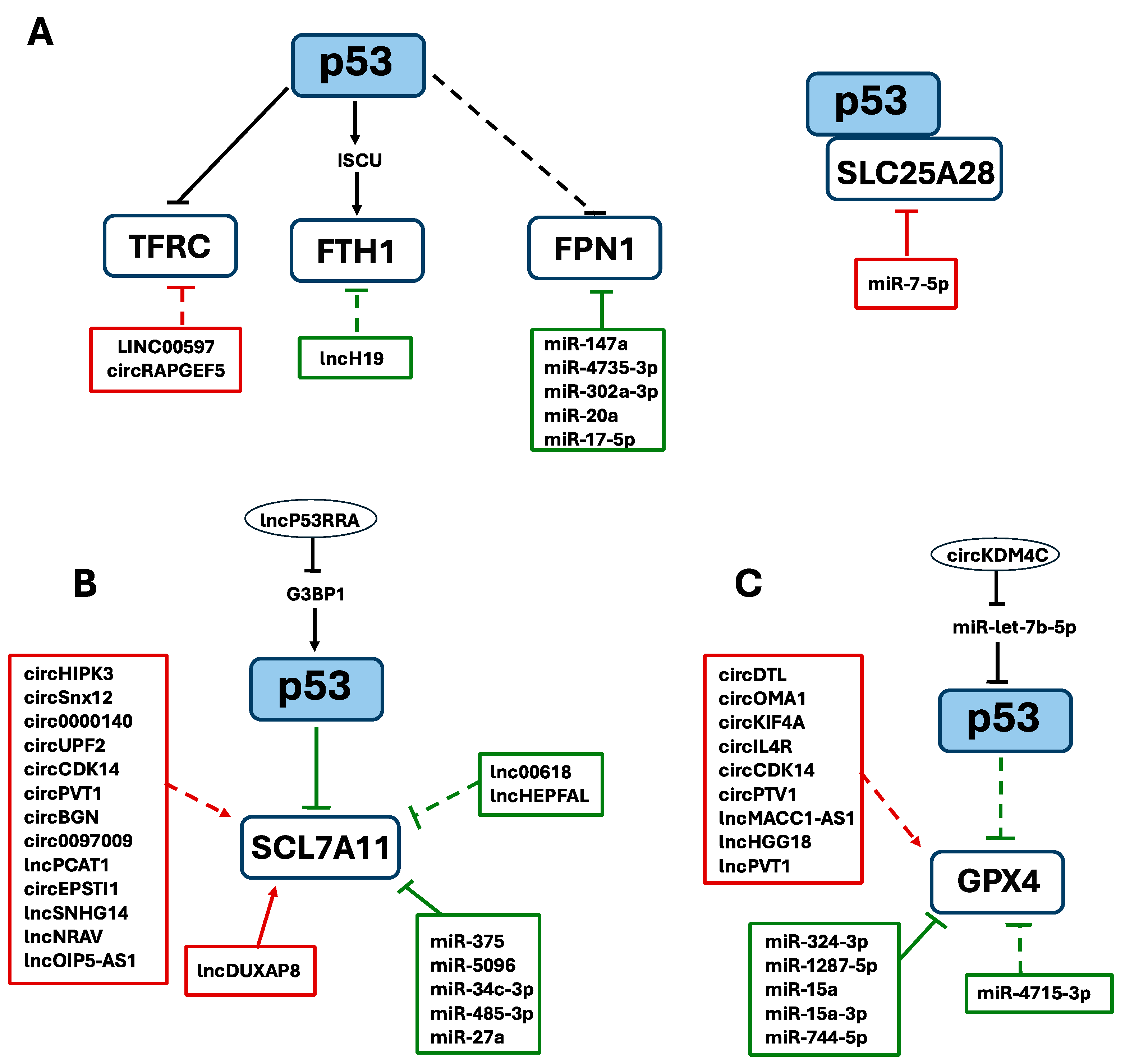 Ijms 26 06588 g002 Ijms 26 06588 g002