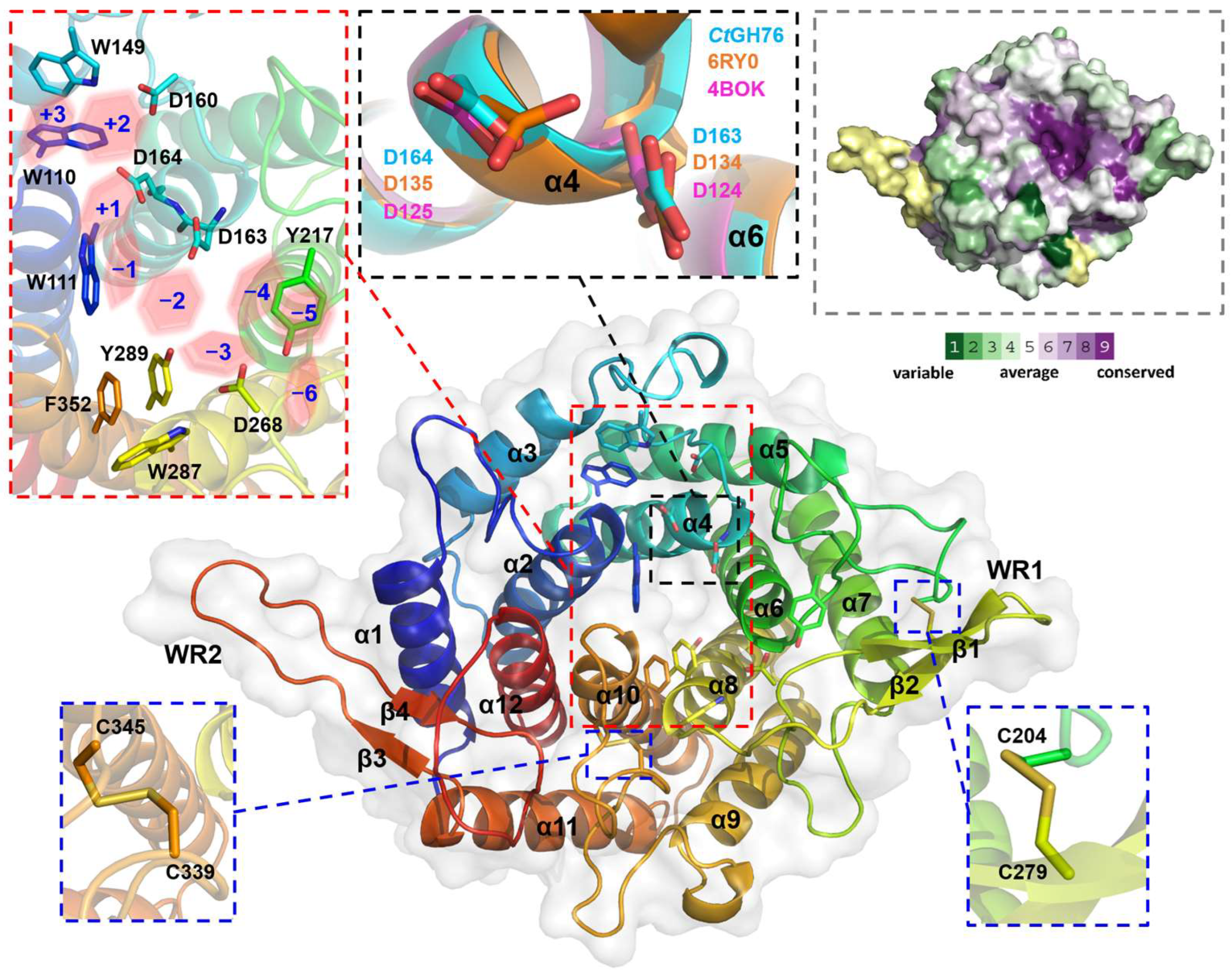 gncha様 COL6A5 (collagen type VI alpha 5 chain) | Gene Report | BioGPS