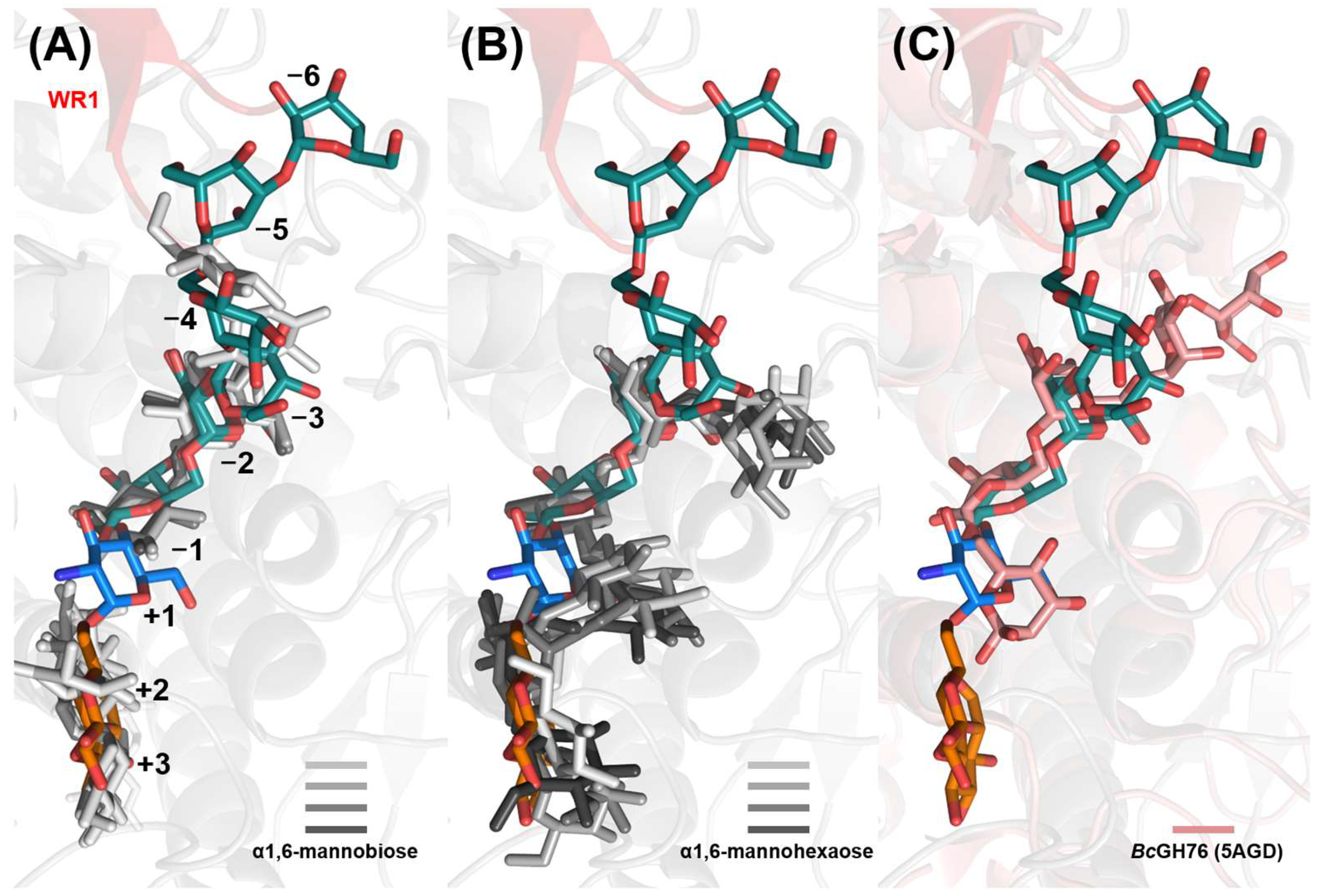 gncha様 COL6A5 (collagen type VI alpha 5 chain) | Gene Report | BioGPS