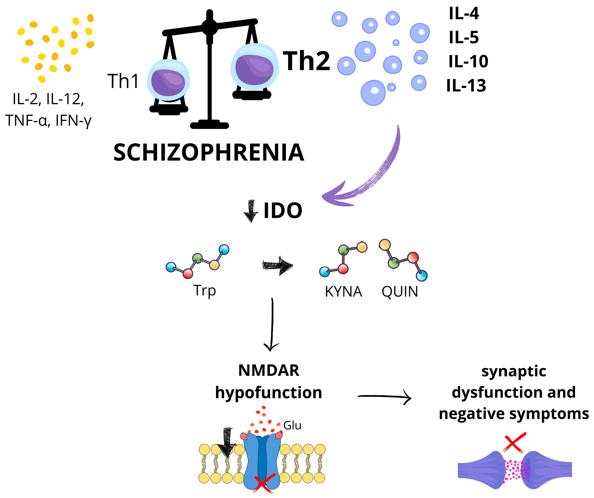 Ijms 26 06619 g001 Ijms 26 06619 g001