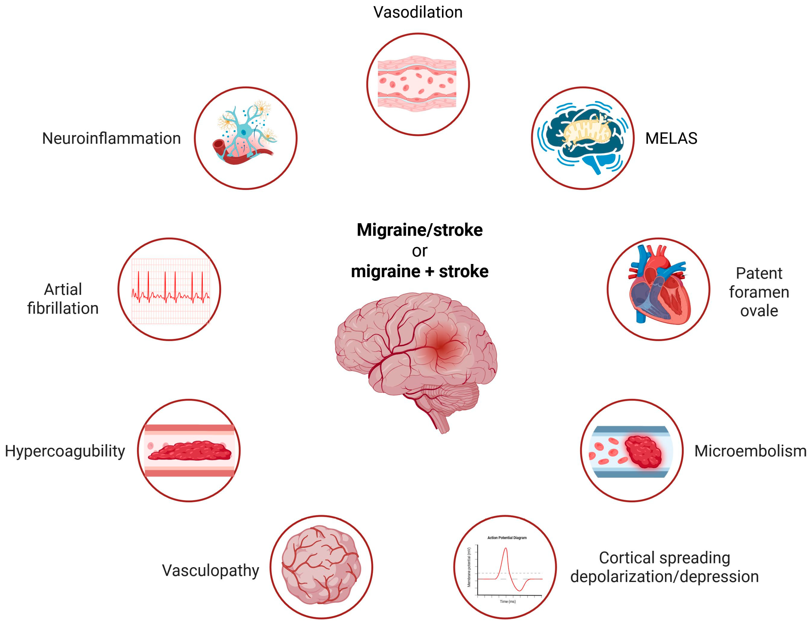 Ijms 26 06634 g001 Ijms 26 06634 g001