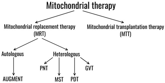 Causes of and Solutions to Mitochondrial Disorders: A Literature Review