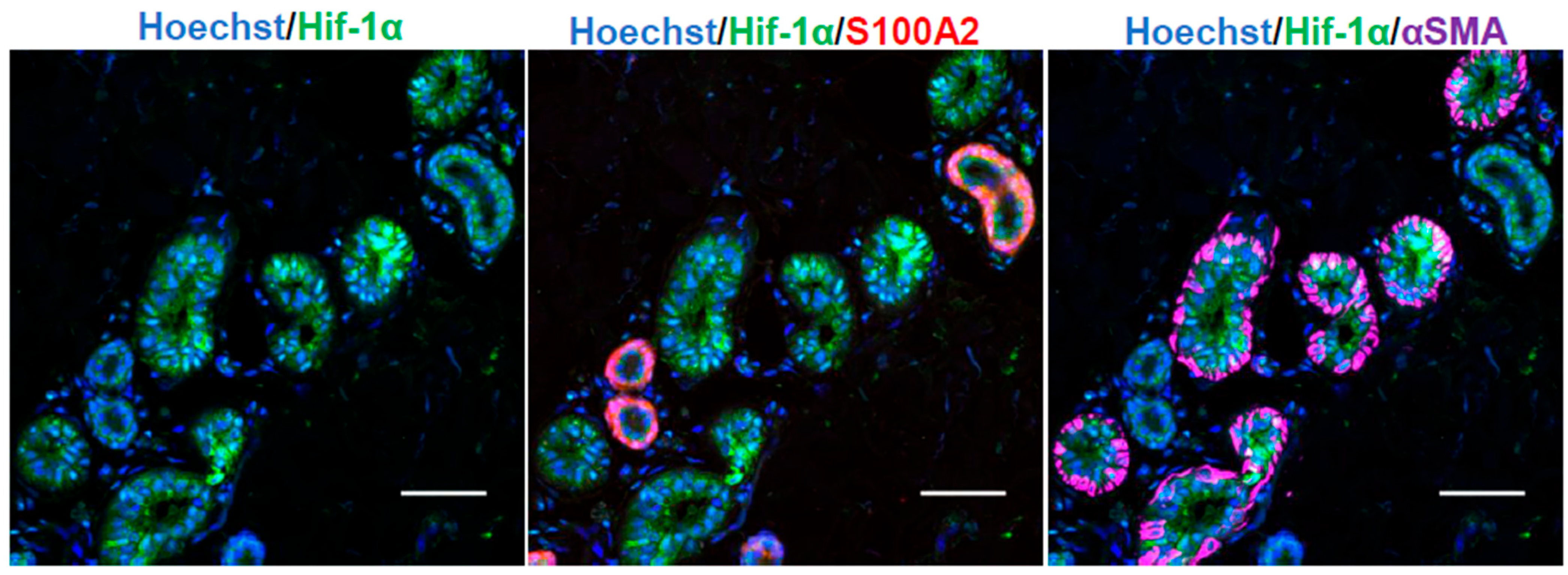 Ijms 26 06664 g001 Ijms 26 06664 g001