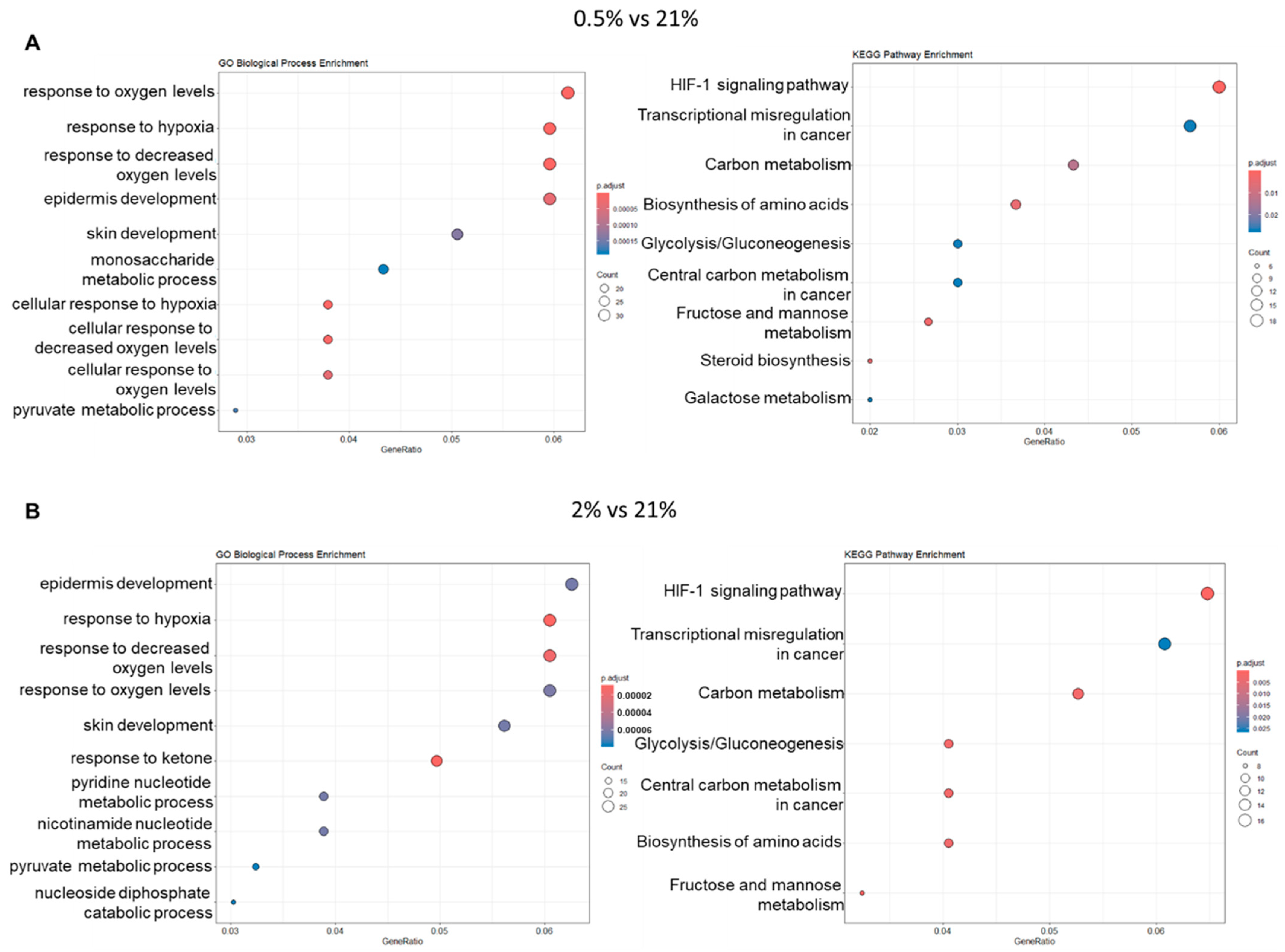 Ijms 26 06664 g006 Ijms 26 06664 g006