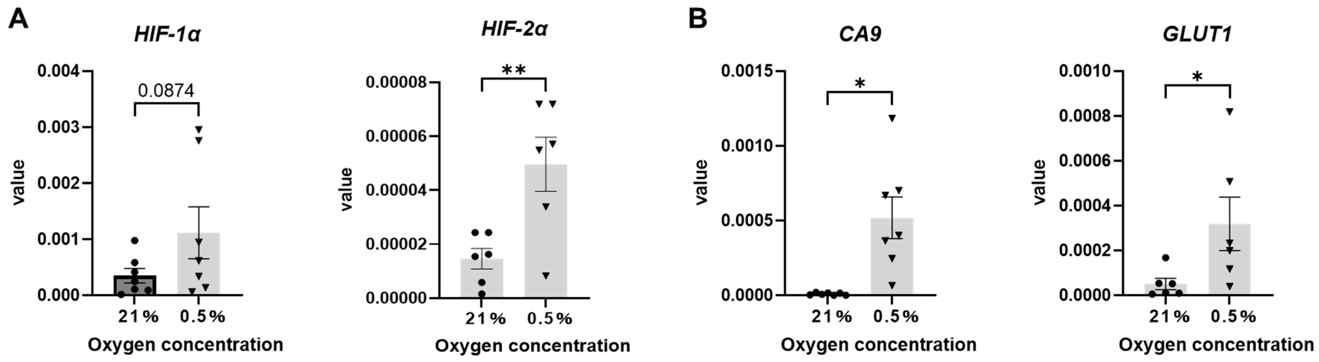 Ijms 26 06664 g007 Ijms 26 06664 g007