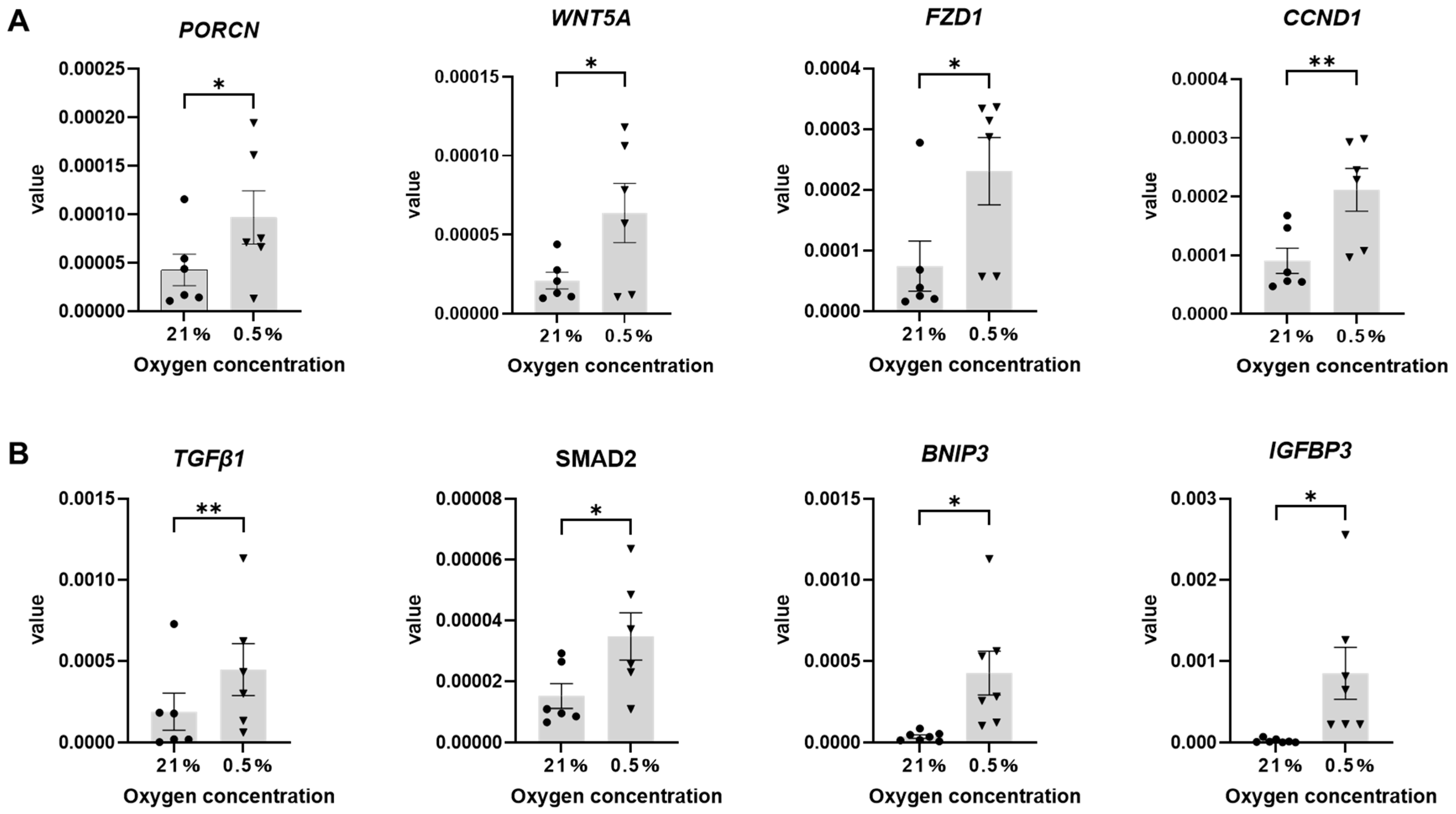 Ijms 26 06664 g008 Ijms 26 06664 g008