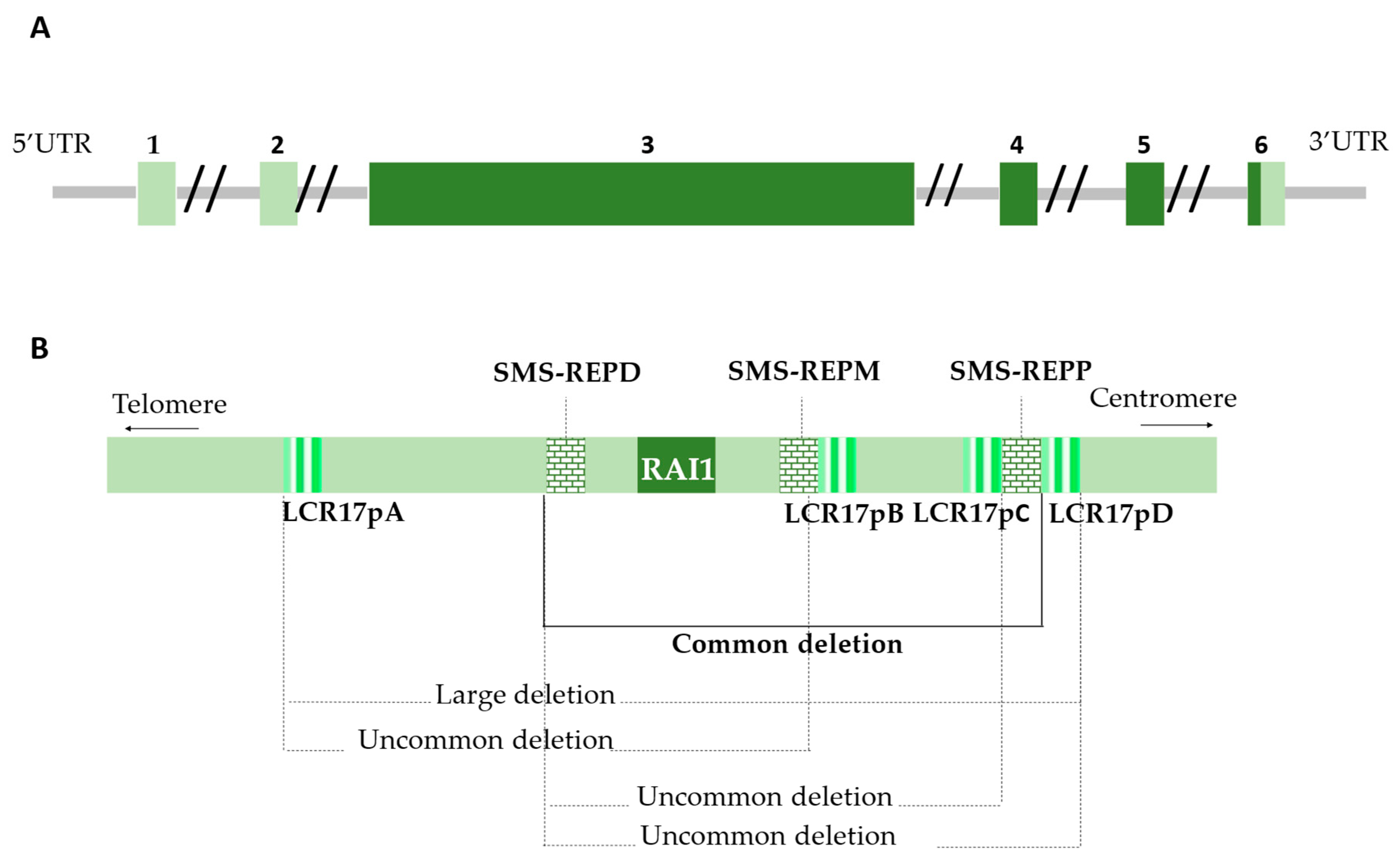 Ijms 26 06667 g002 Ijms 26 06667 g002