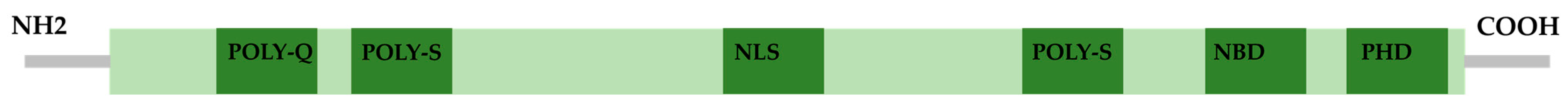 Ijms 26 06667 g004 Ijms 26 06667 g004