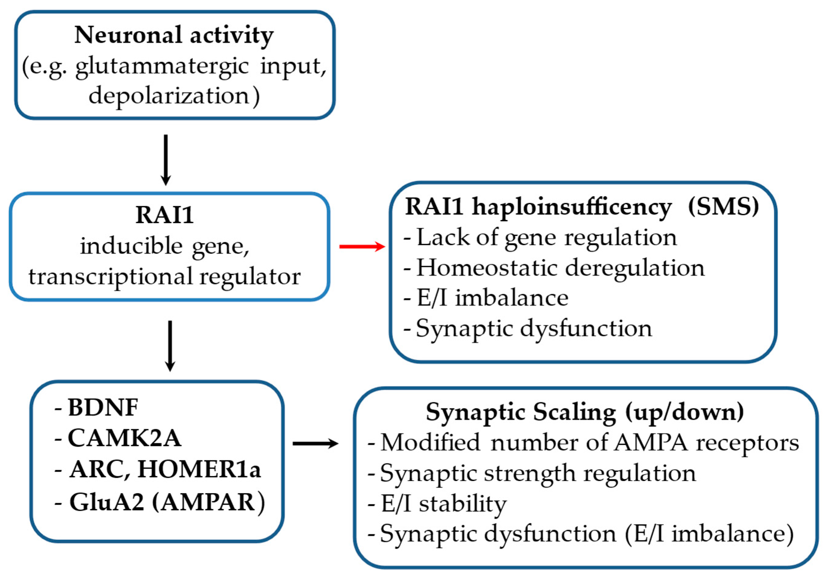 Ijms 26 06667 g005 Ijms 26 06667 g005