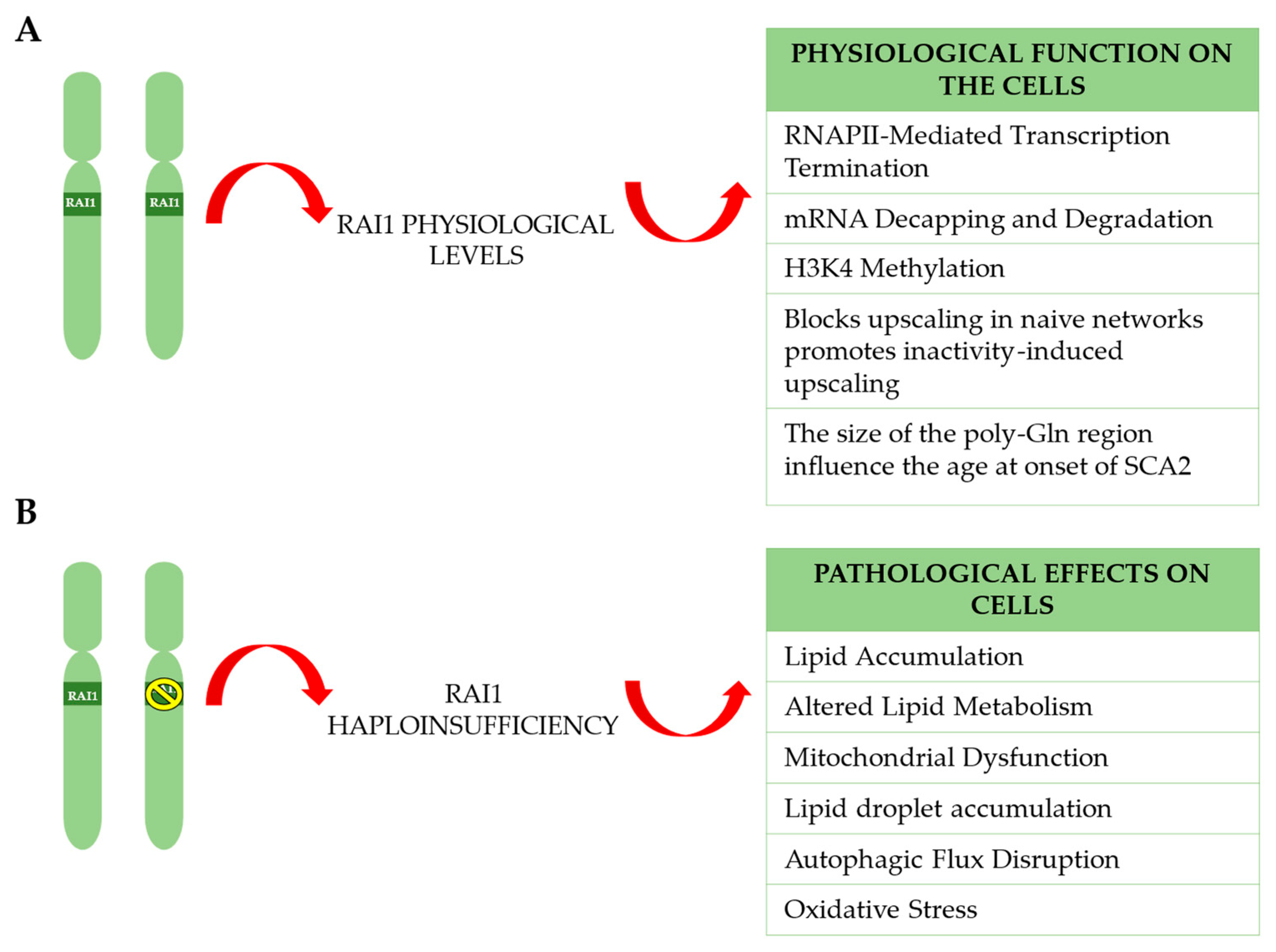 Ijms 26 06667 g006 Ijms 26 06667 g006