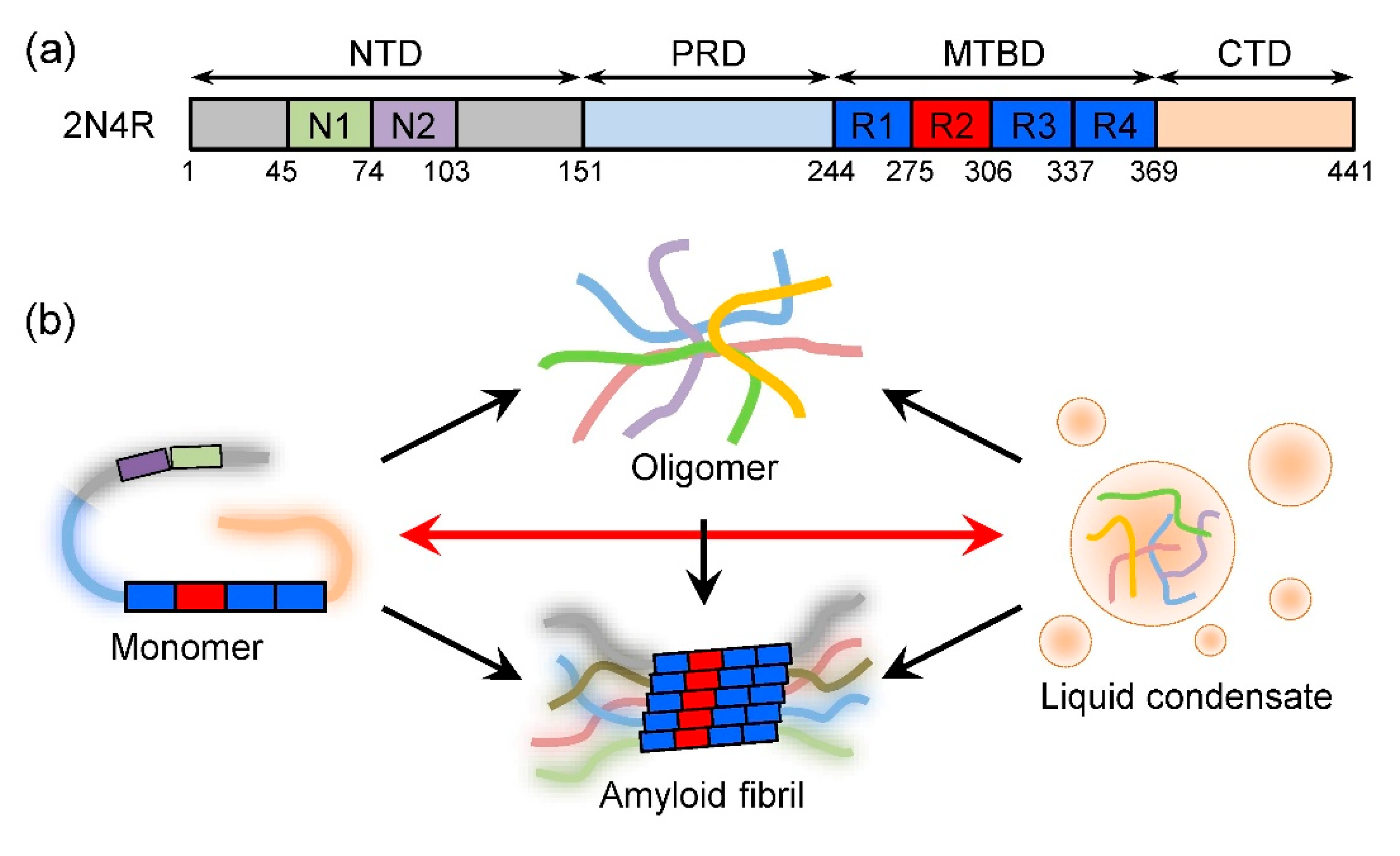 Rational Modulation of Liquid–Liquid Phase Separation Offers