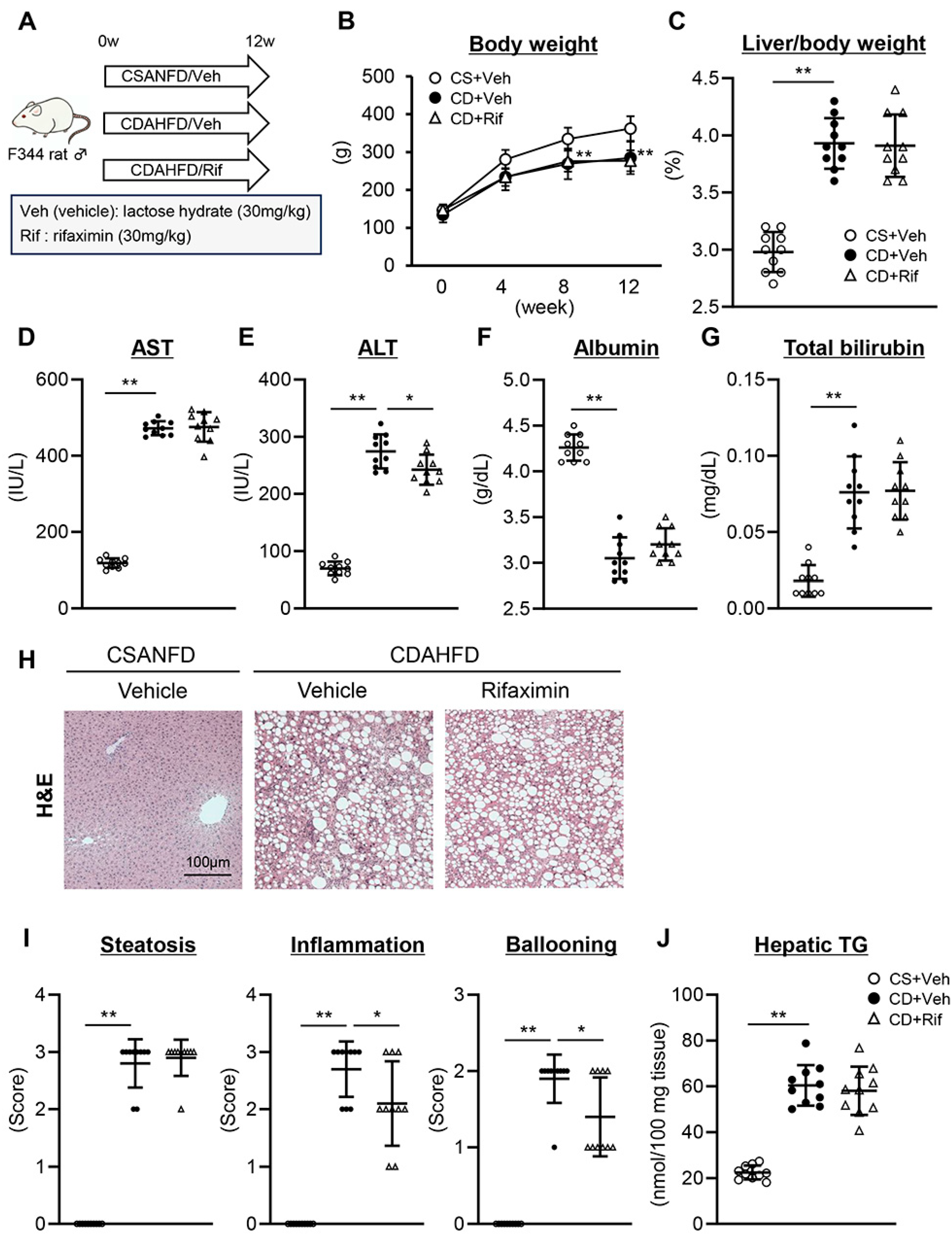 Ijms 26 06710 g001 Ijms 26 06710 g001