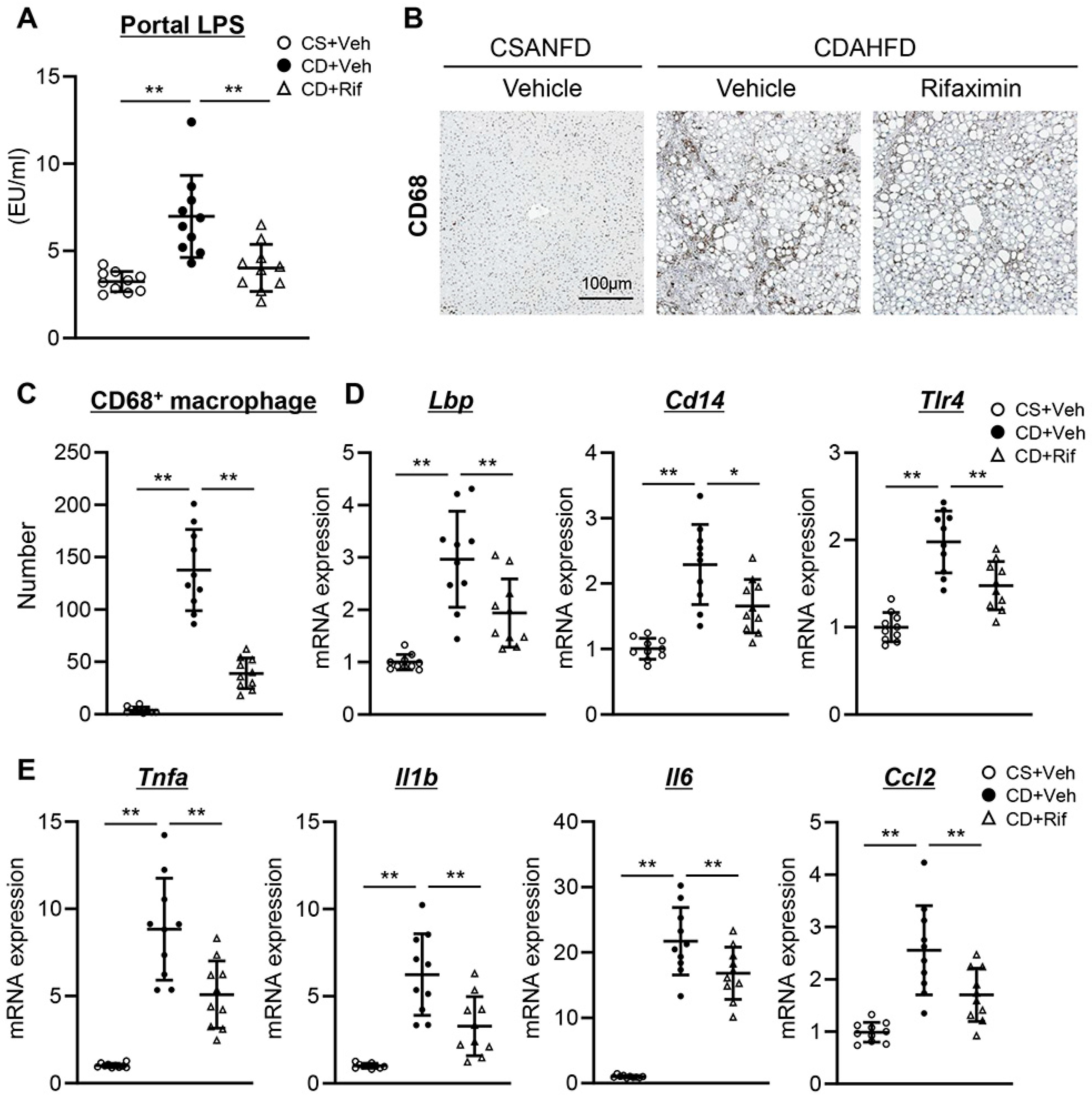 Ijms 26 06710 g003 Ijms 26 06710 g003