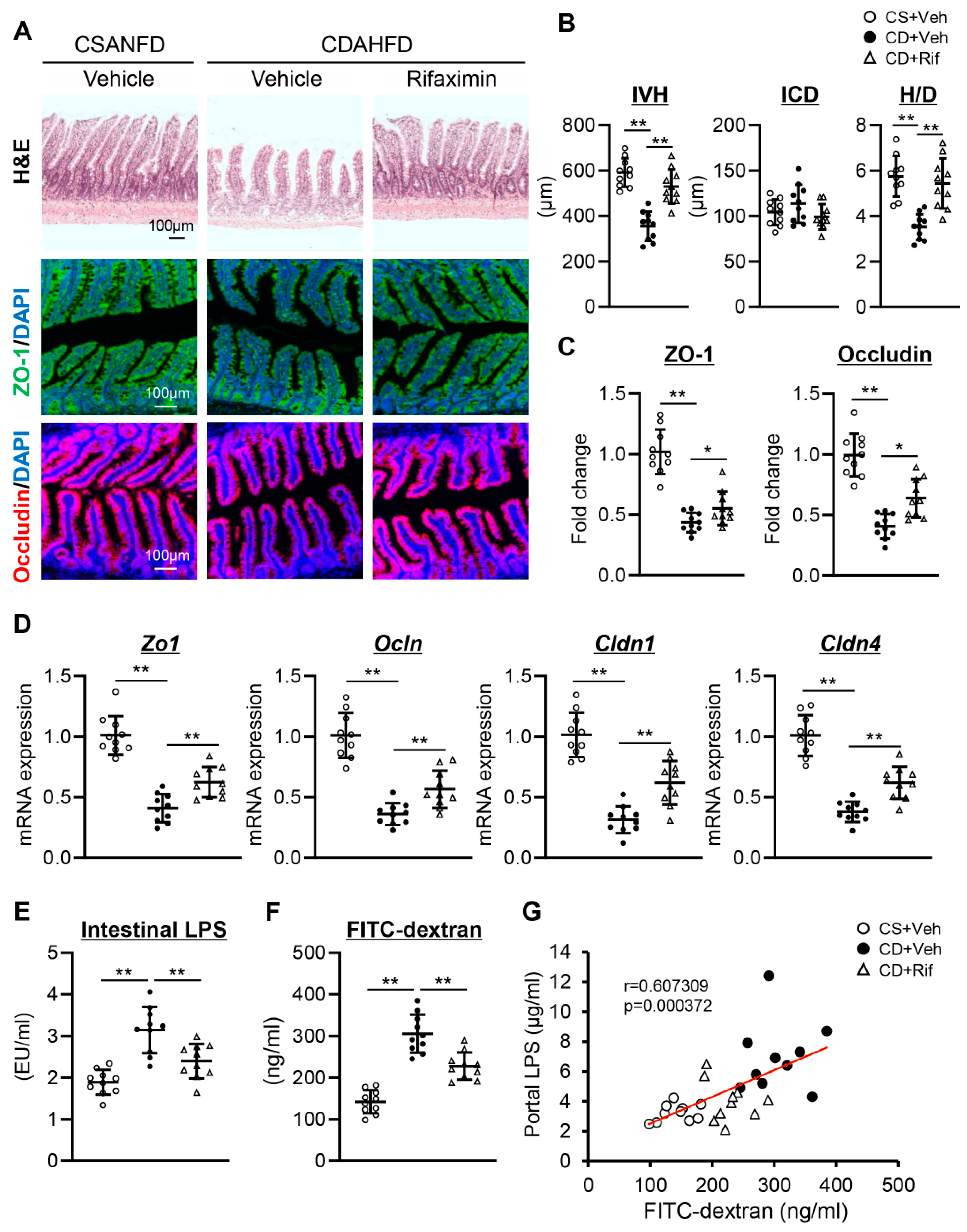 Ijms 26 06710 g005 Ijms 26 06710 g005