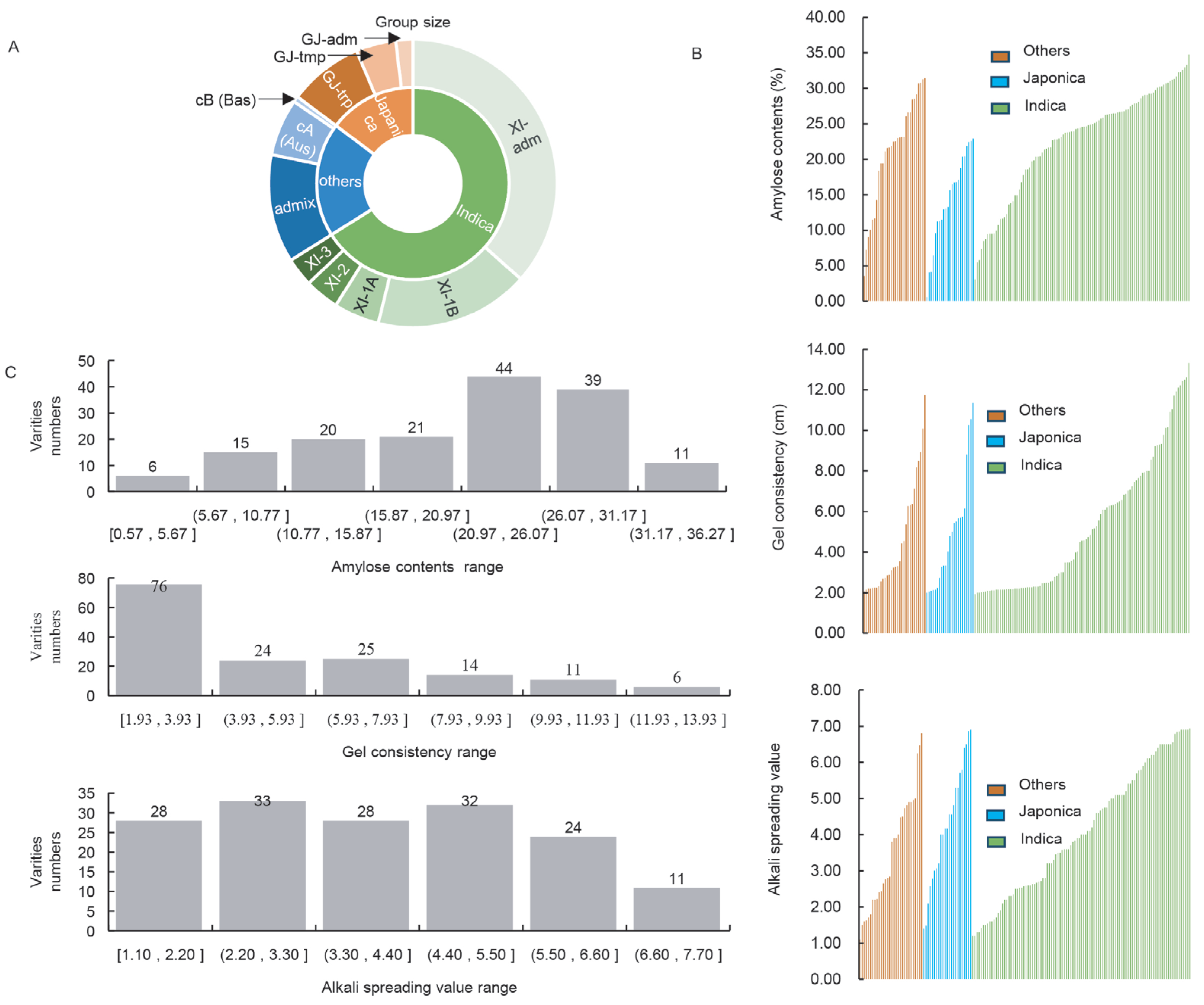 The Wx/SSIIa and GS3/GW7 Alleles, Both Individually and in