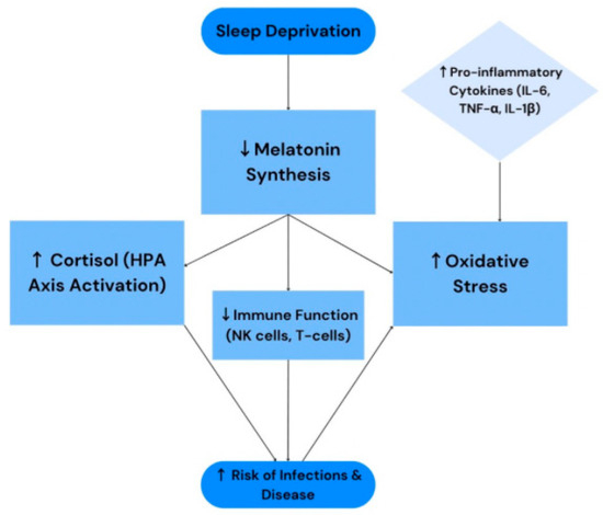 Melatonin as the Missing Link Between Sleep Deprivation and Immune  Dysregulation: A Narrative Review