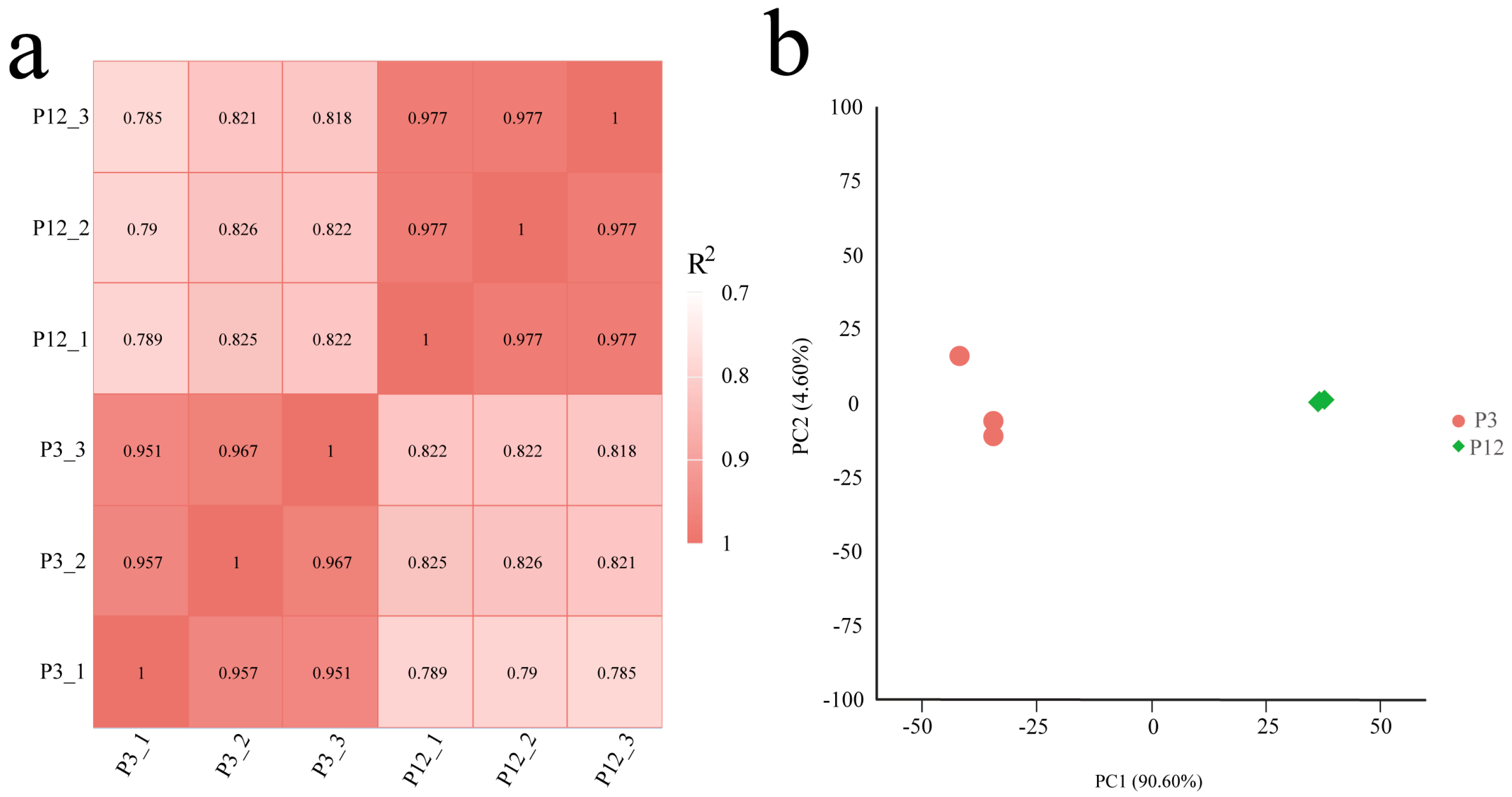 Ijms 26 06772 g005 Ijms 26 06772 g005