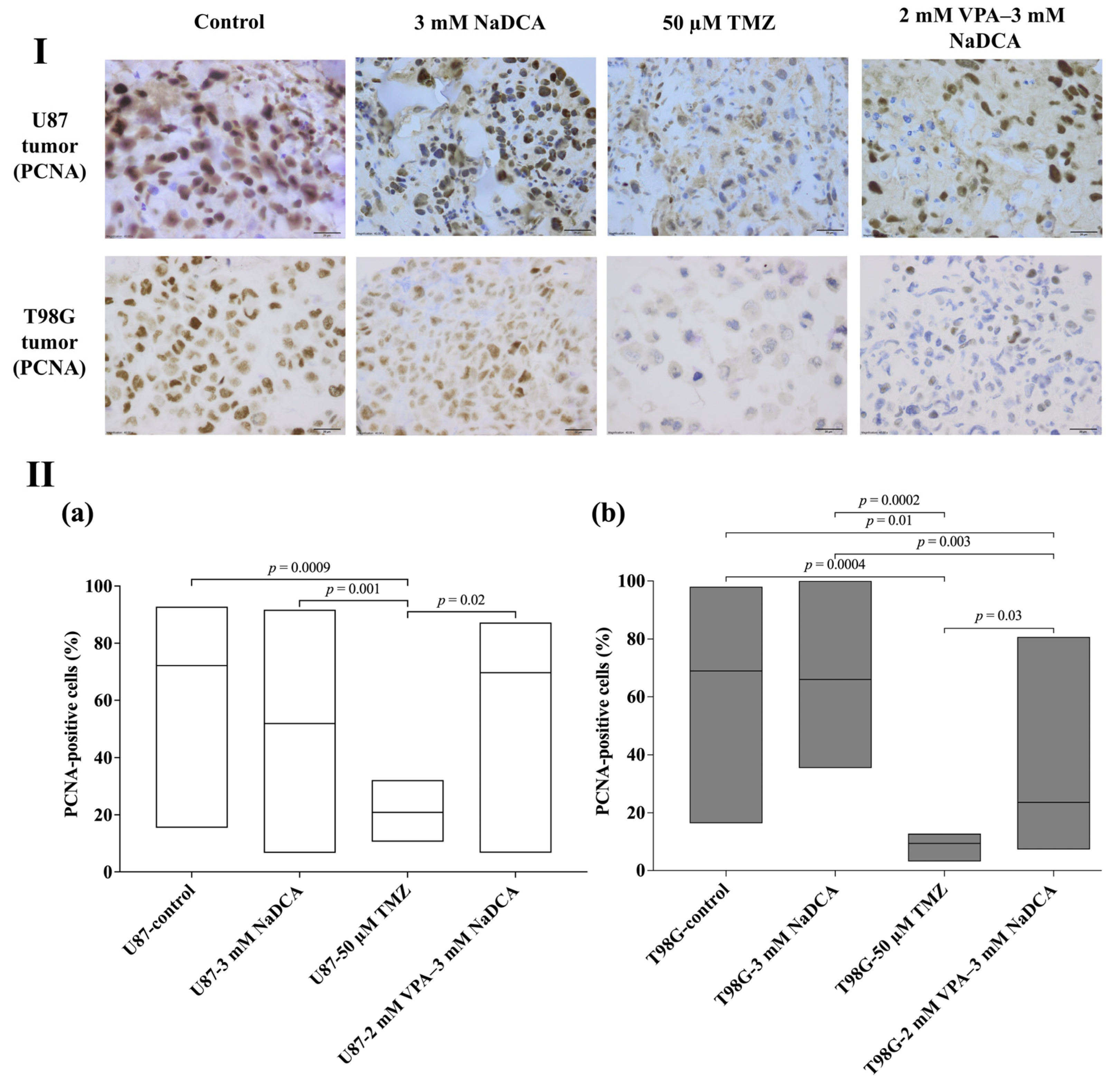 Ijms 26 06784 g006 Ijms 26 06784 g006