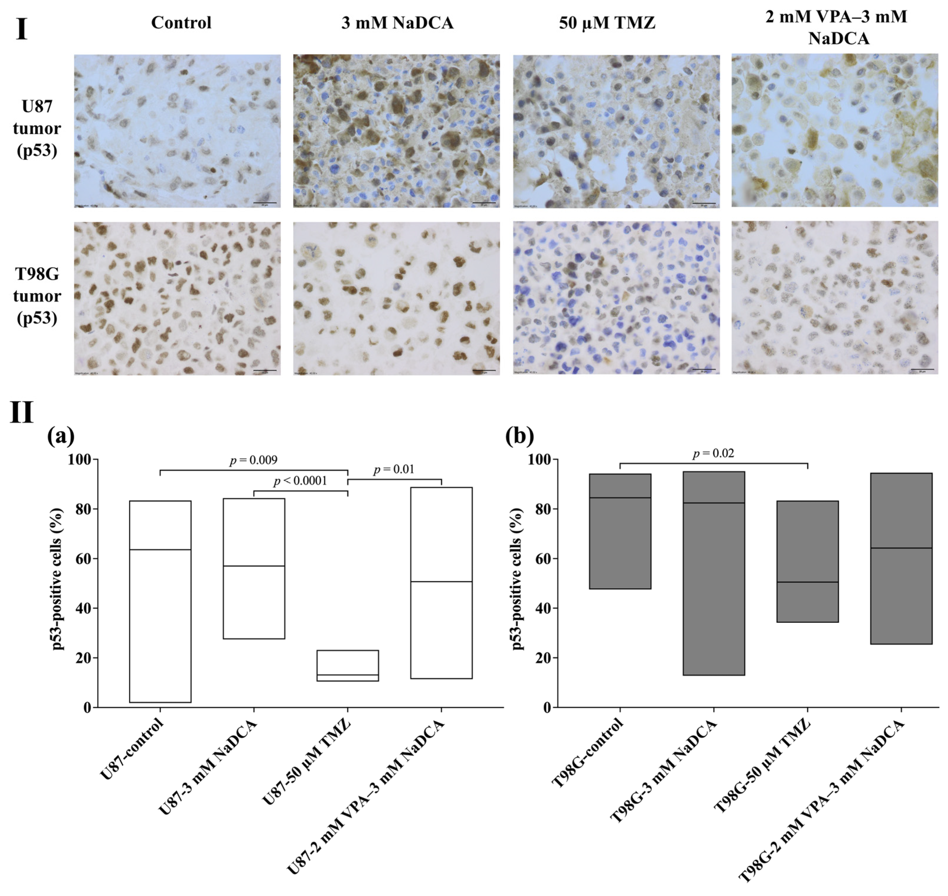 Ijms 26 06784 g007 Ijms 26 06784 g007