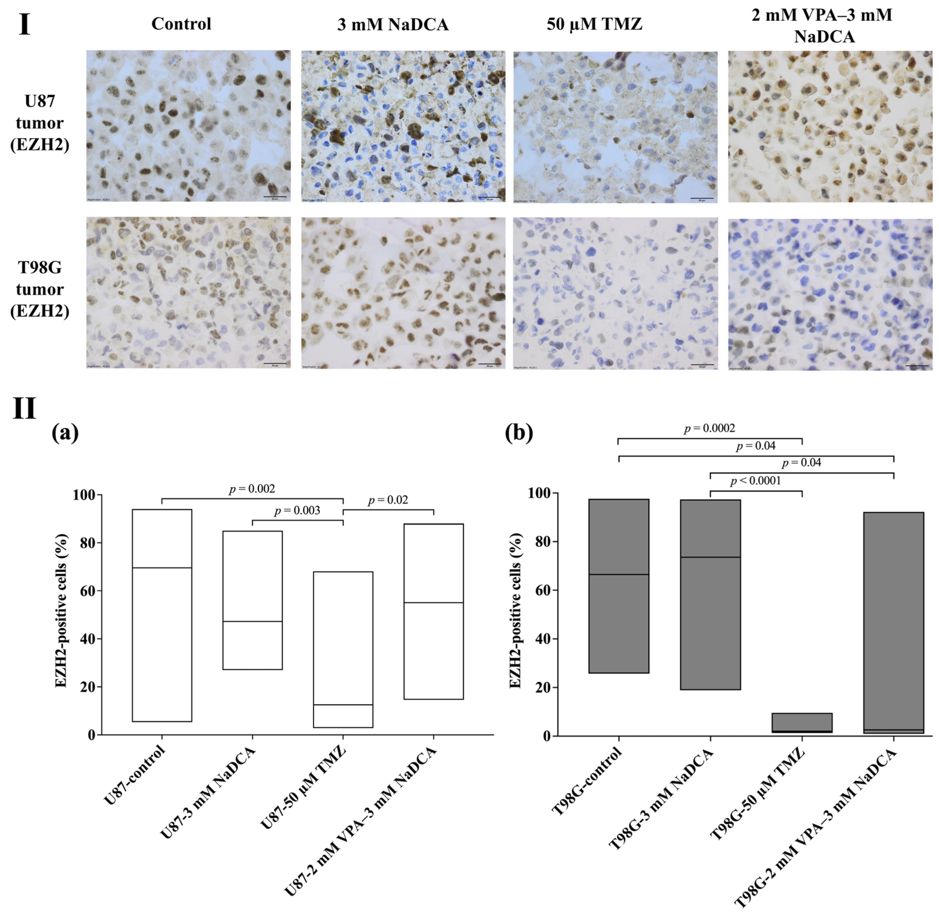 Ijms 26 06784 g008 Ijms 26 06784 g008