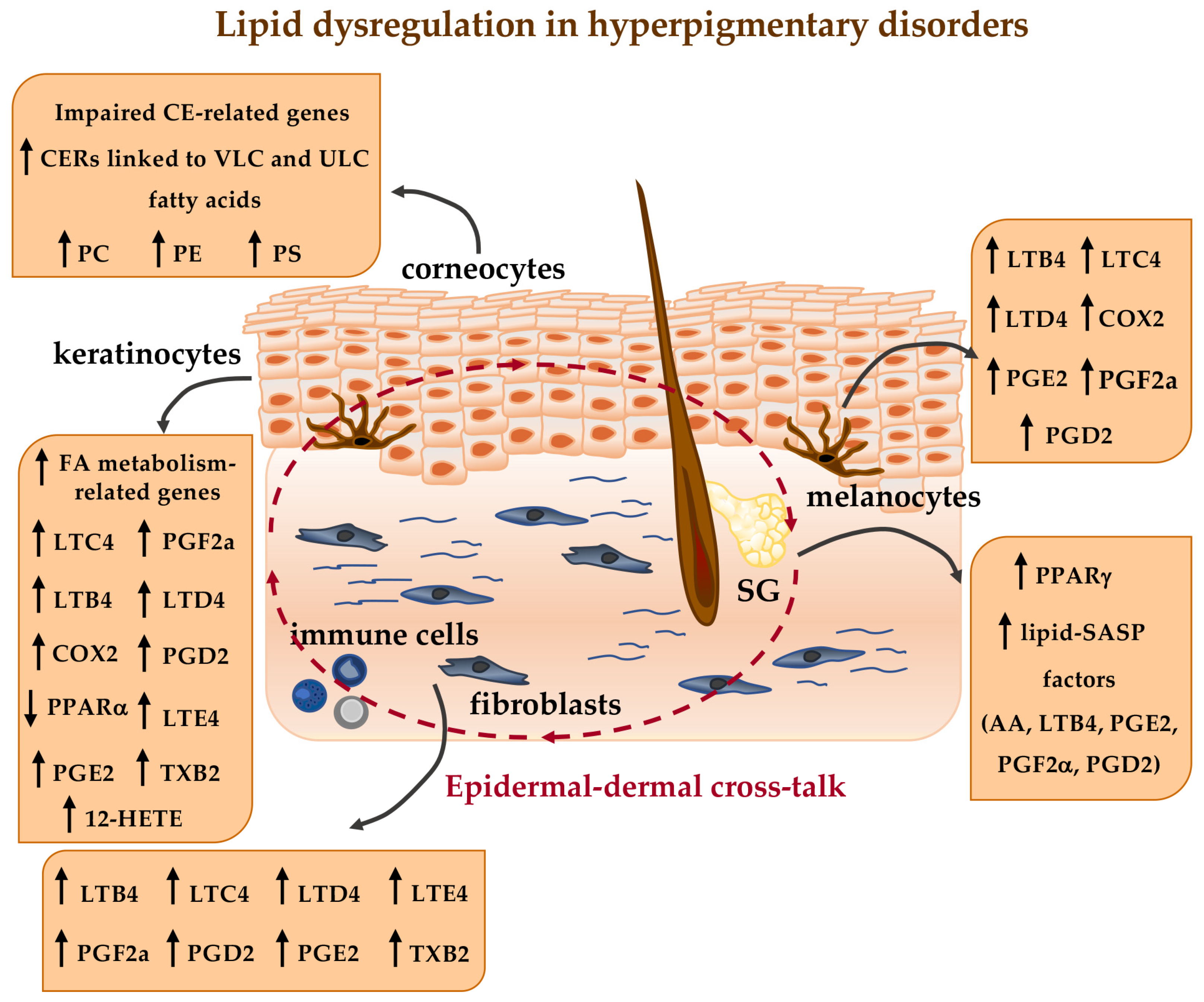 Ijms 26 06785 g001 Ijms 26 06785 g001