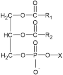 Ijms 26 06785 i002 Ijms 26 06785 i002