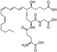 Ijms 26 06785 i012 Ijms 26 06785 i012