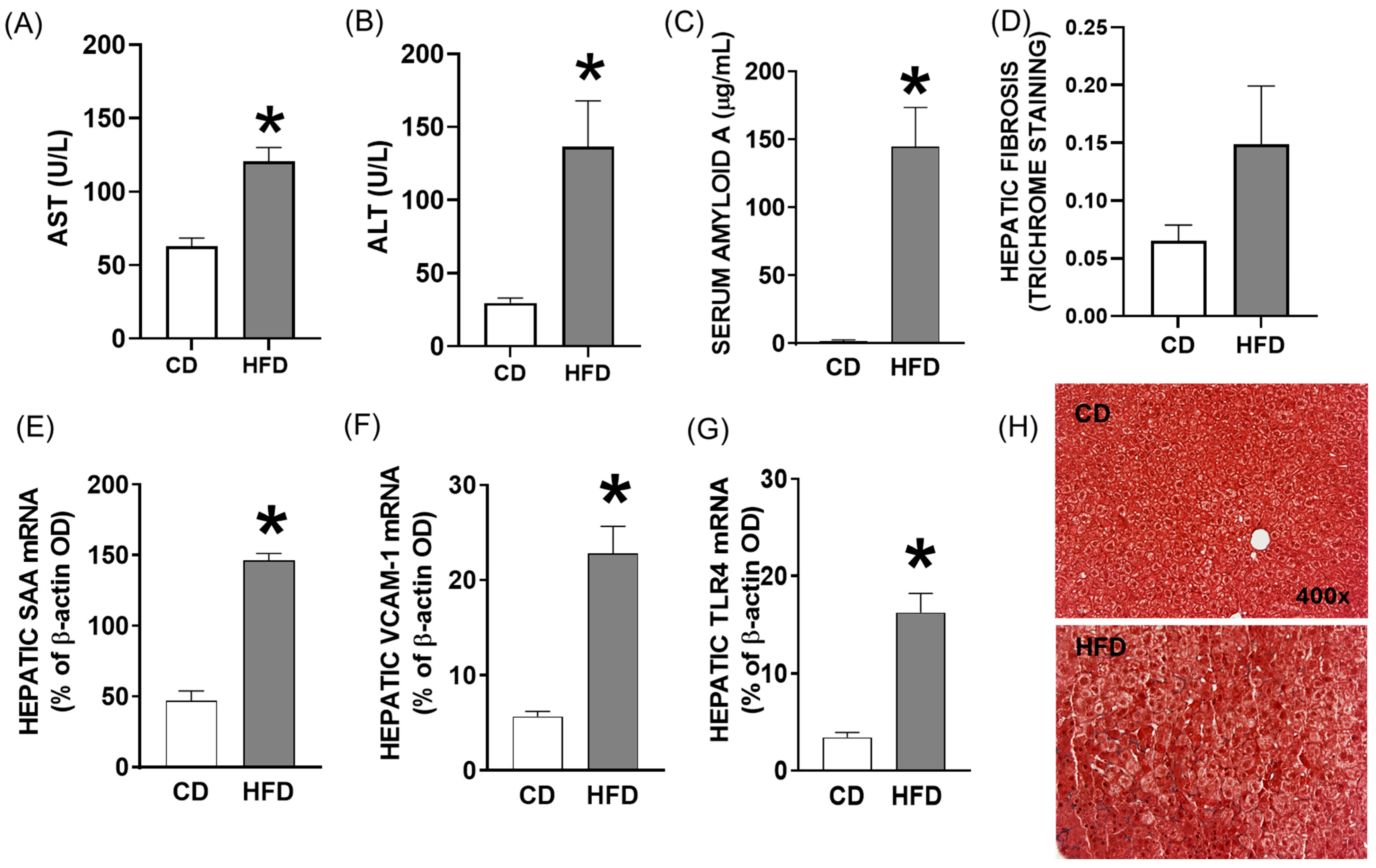 Ijms 26 06802 g002 Ijms 26 06802 g002
