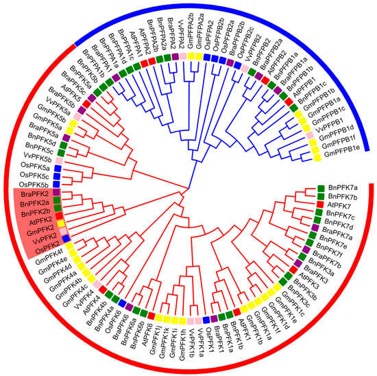 cc Provenance analysis of Cenozoic conglomerates: Insights from