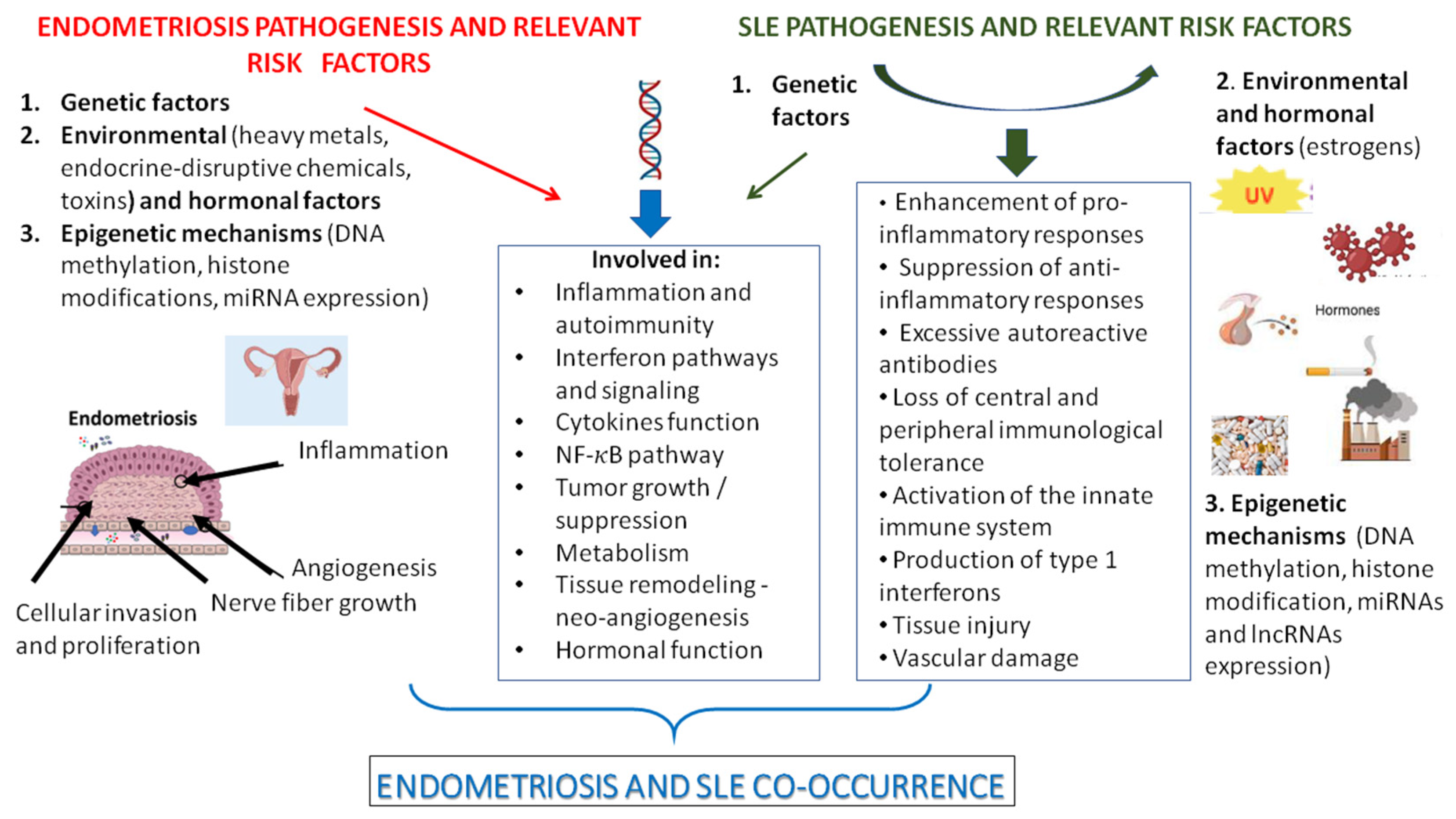 Ijms 26 06841 g001 Ijms 26 06841 g001