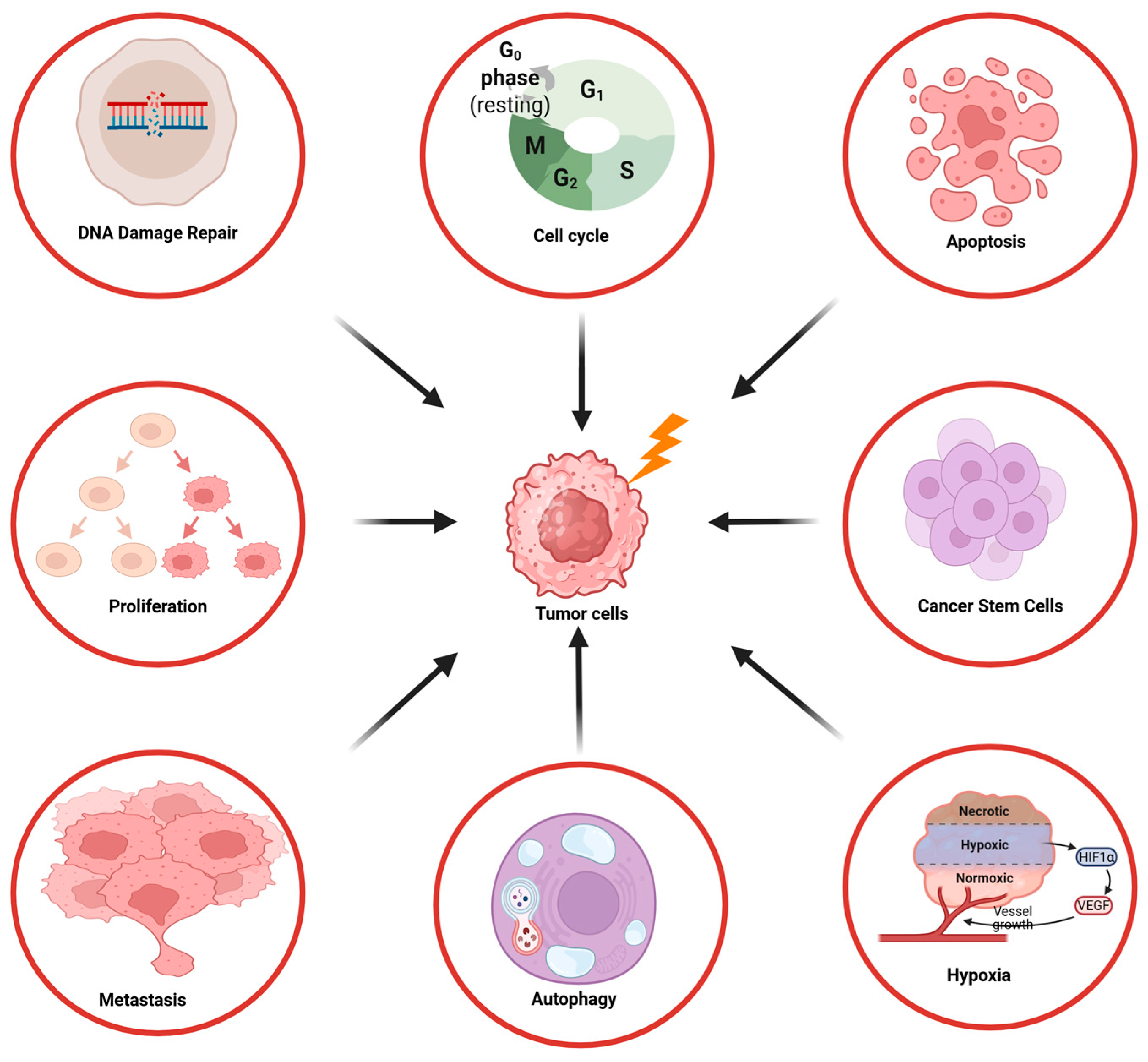 Ijms 26 06853 g001 Ijms 26 06853 g001