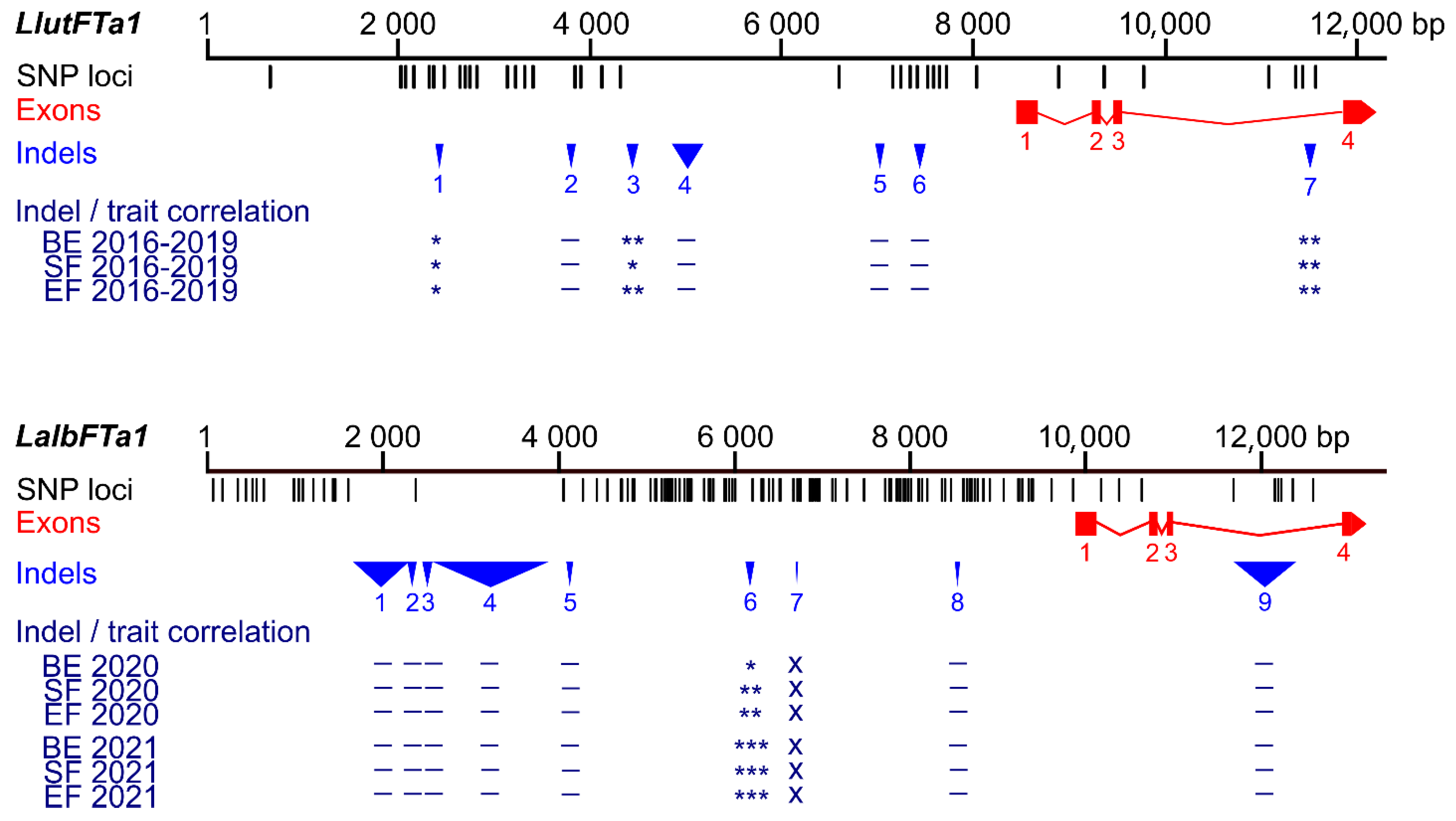 Ijms 26 06858 g001 Ijms 26 06858 g001