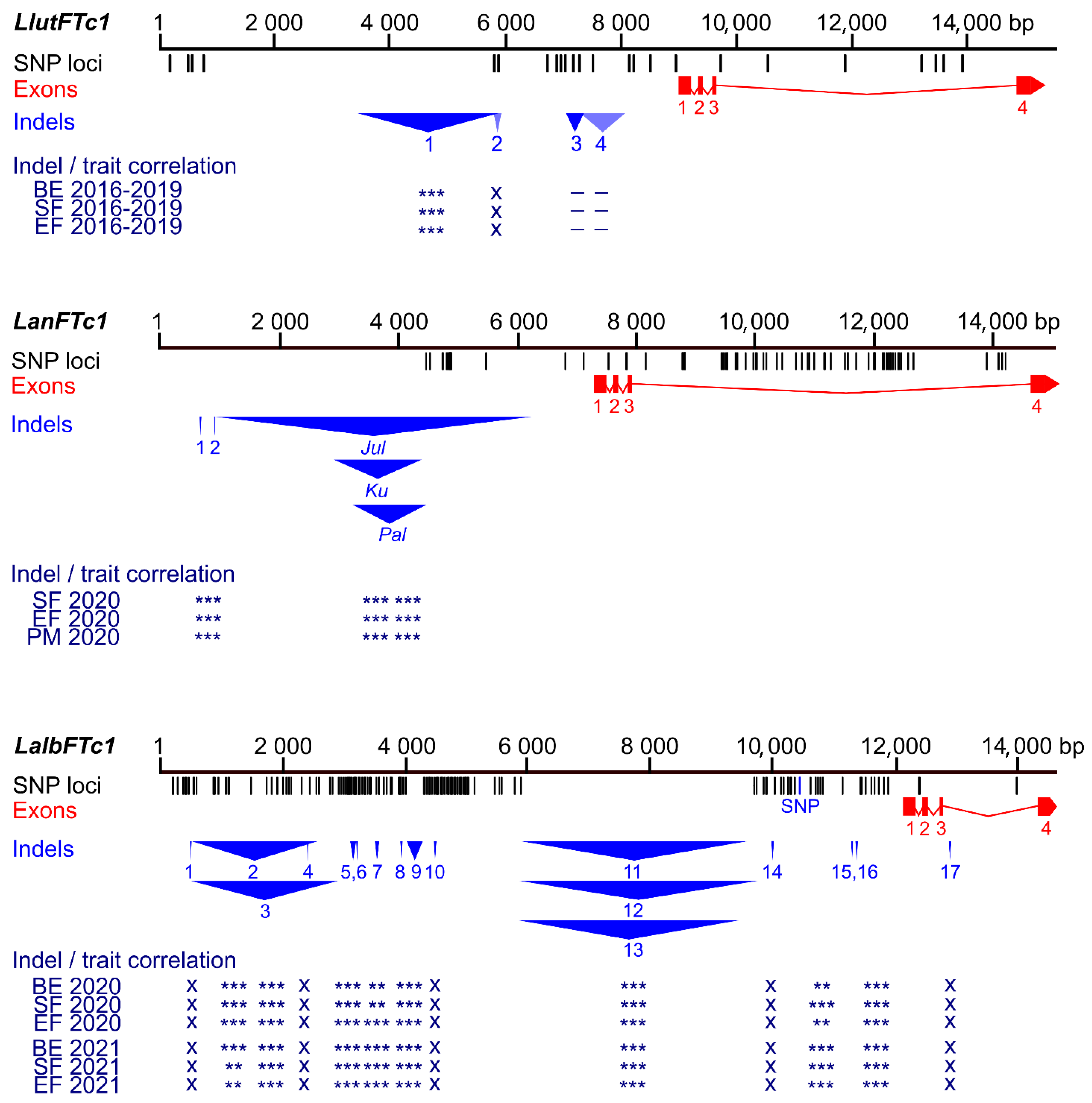 Ijms 26 06858 g003 Ijms 26 06858 g003