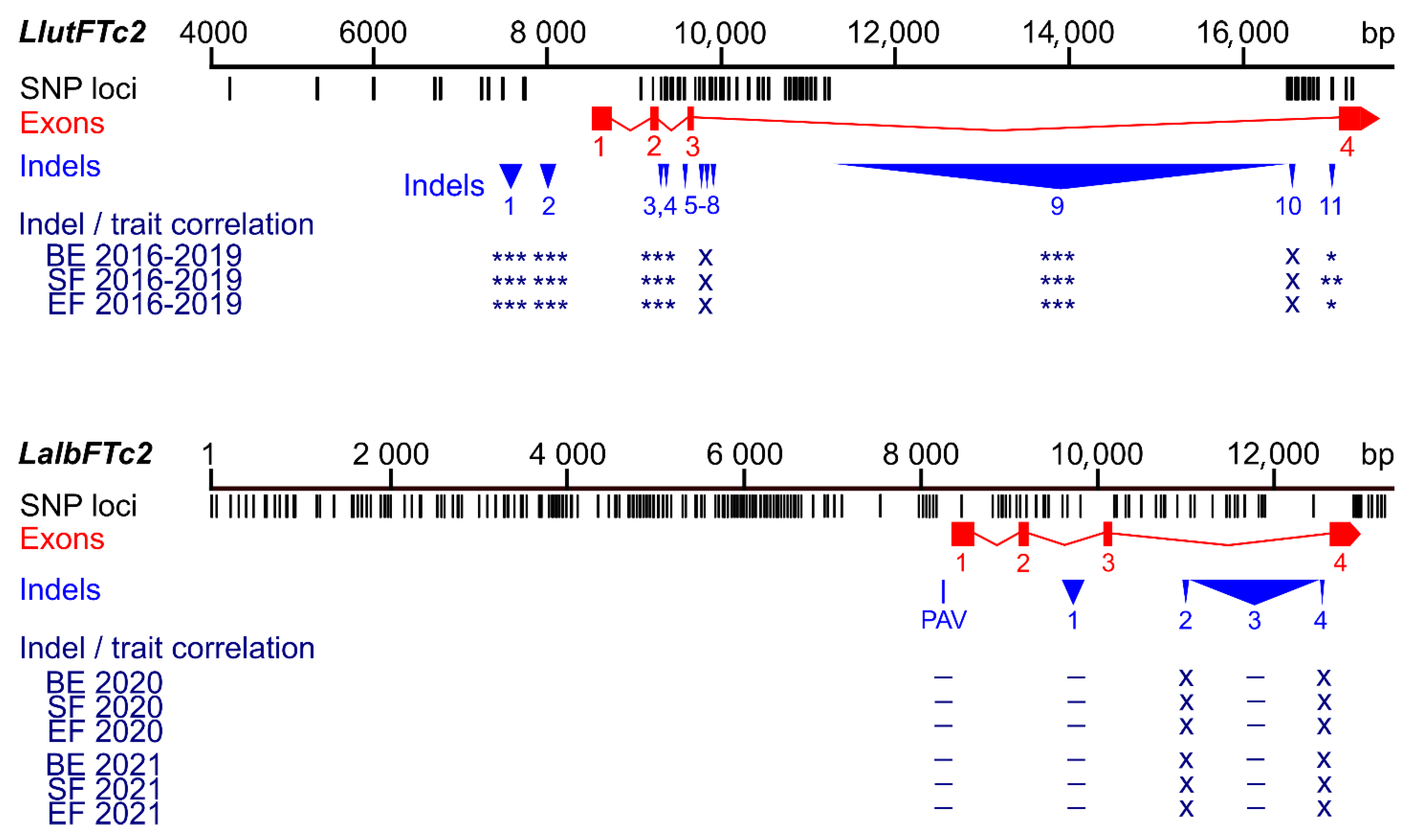 Ijms 26 06858 g004 Ijms 26 06858 g004