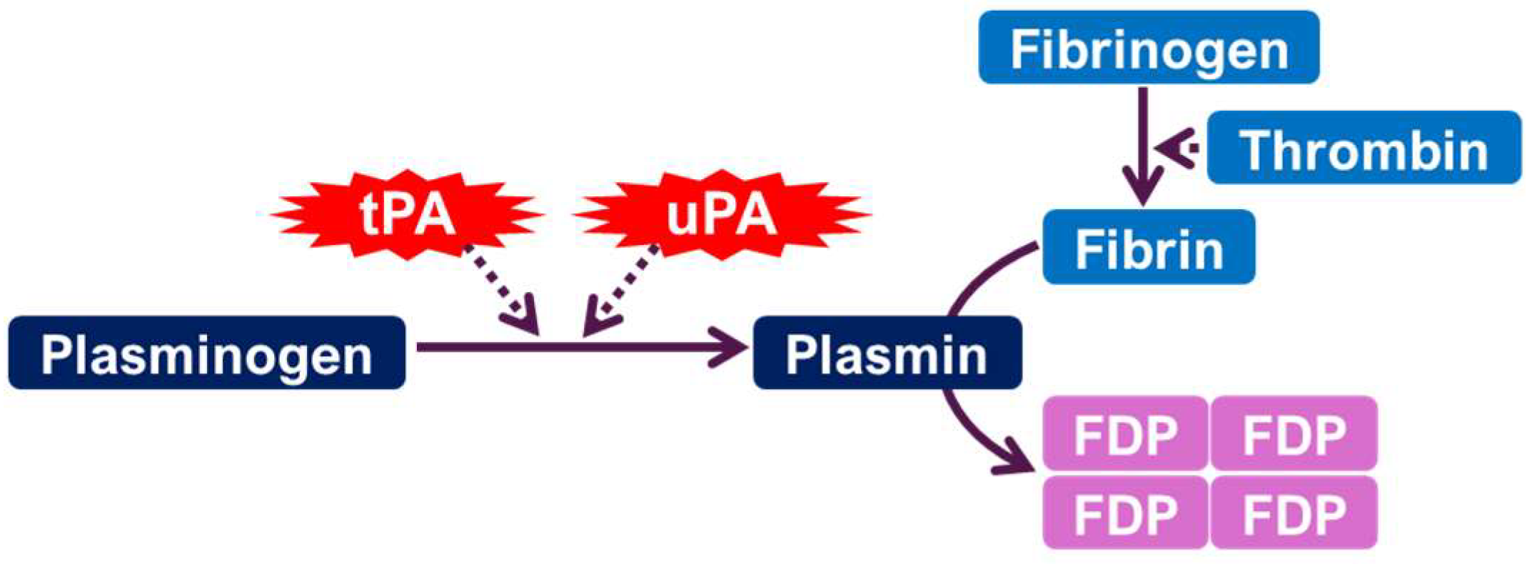 Ijms 26 06899 g001 Ijms 26 06899 g001