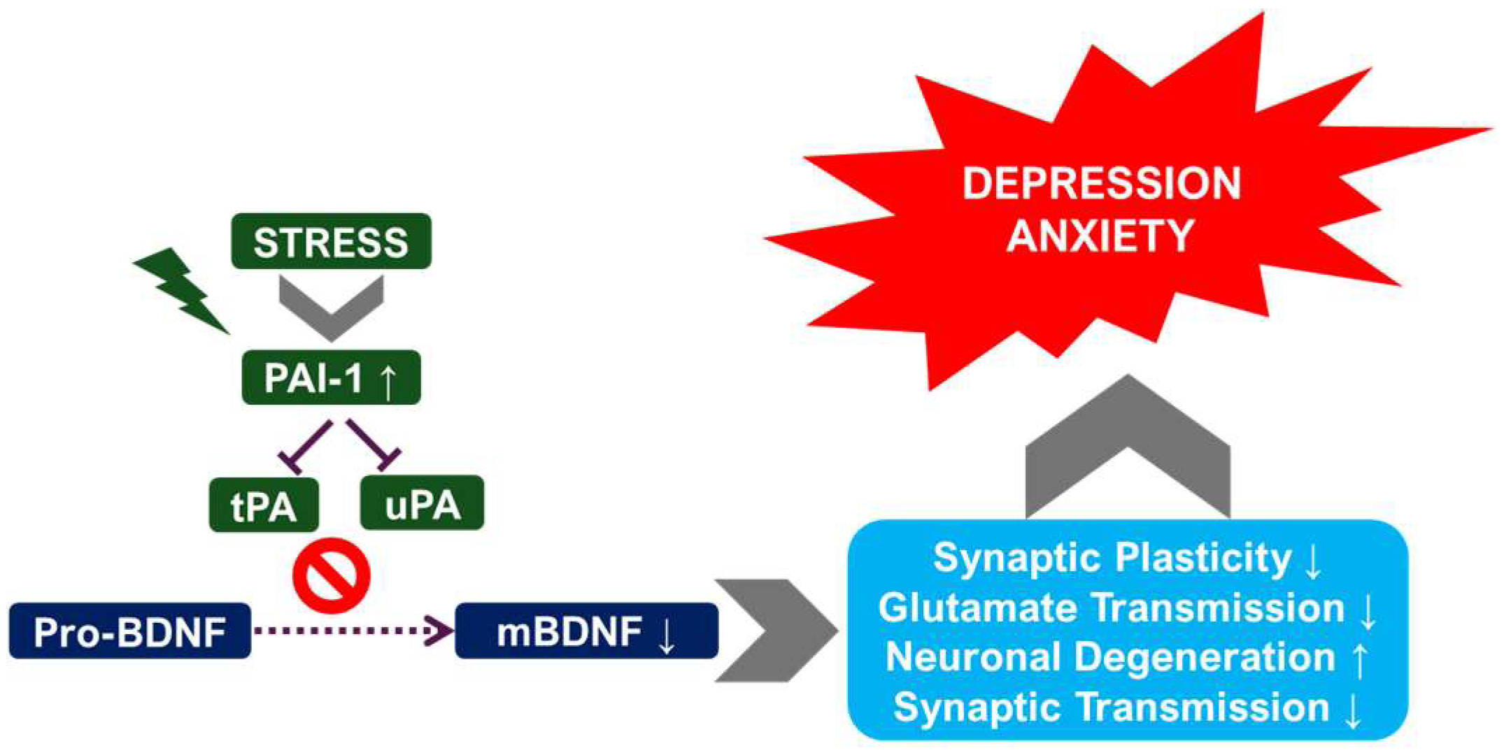 Ijms 26 06899 g003 Ijms 26 06899 g003