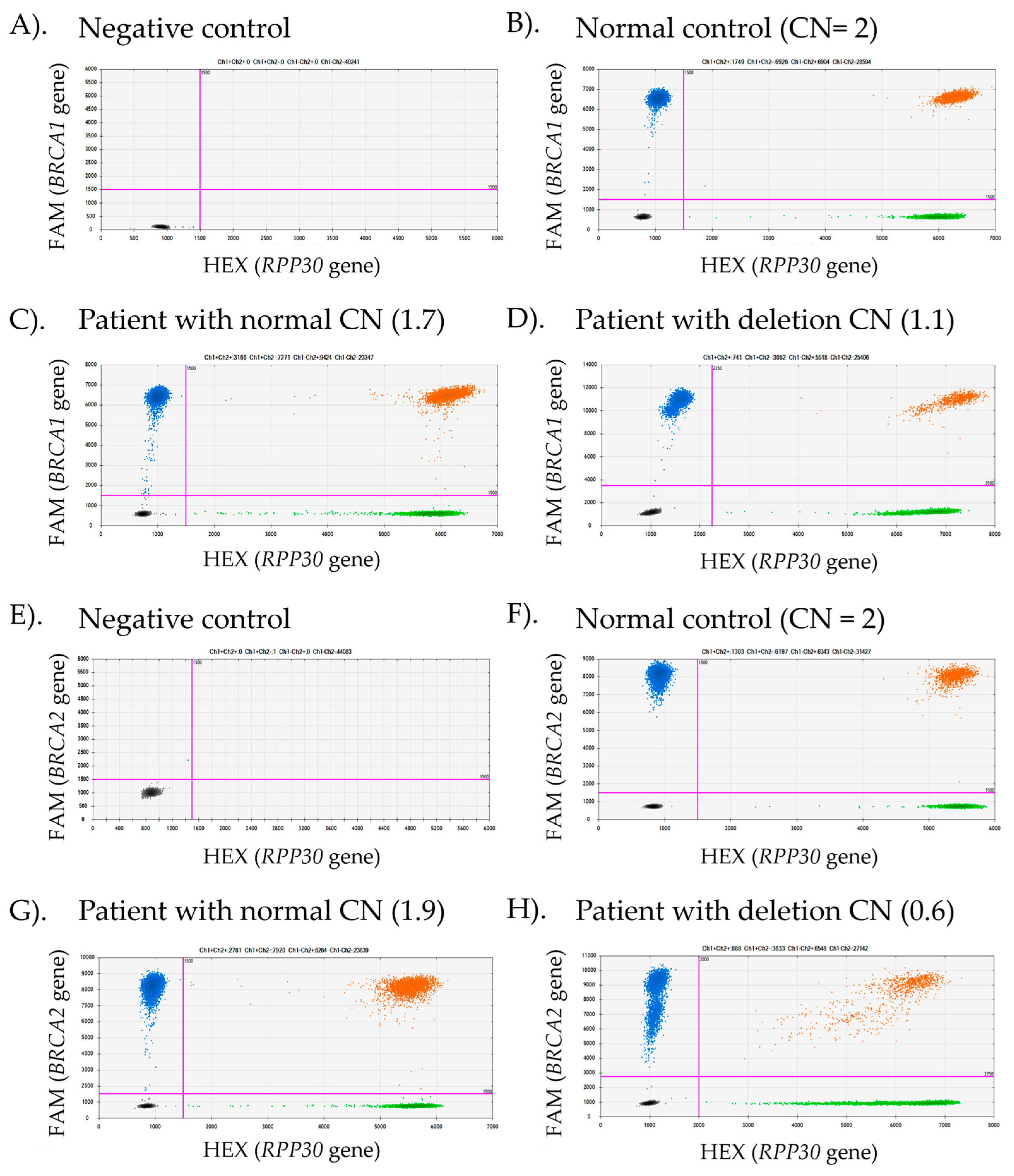 Ijms 26 06904 g003 Ijms 26 06904 g003