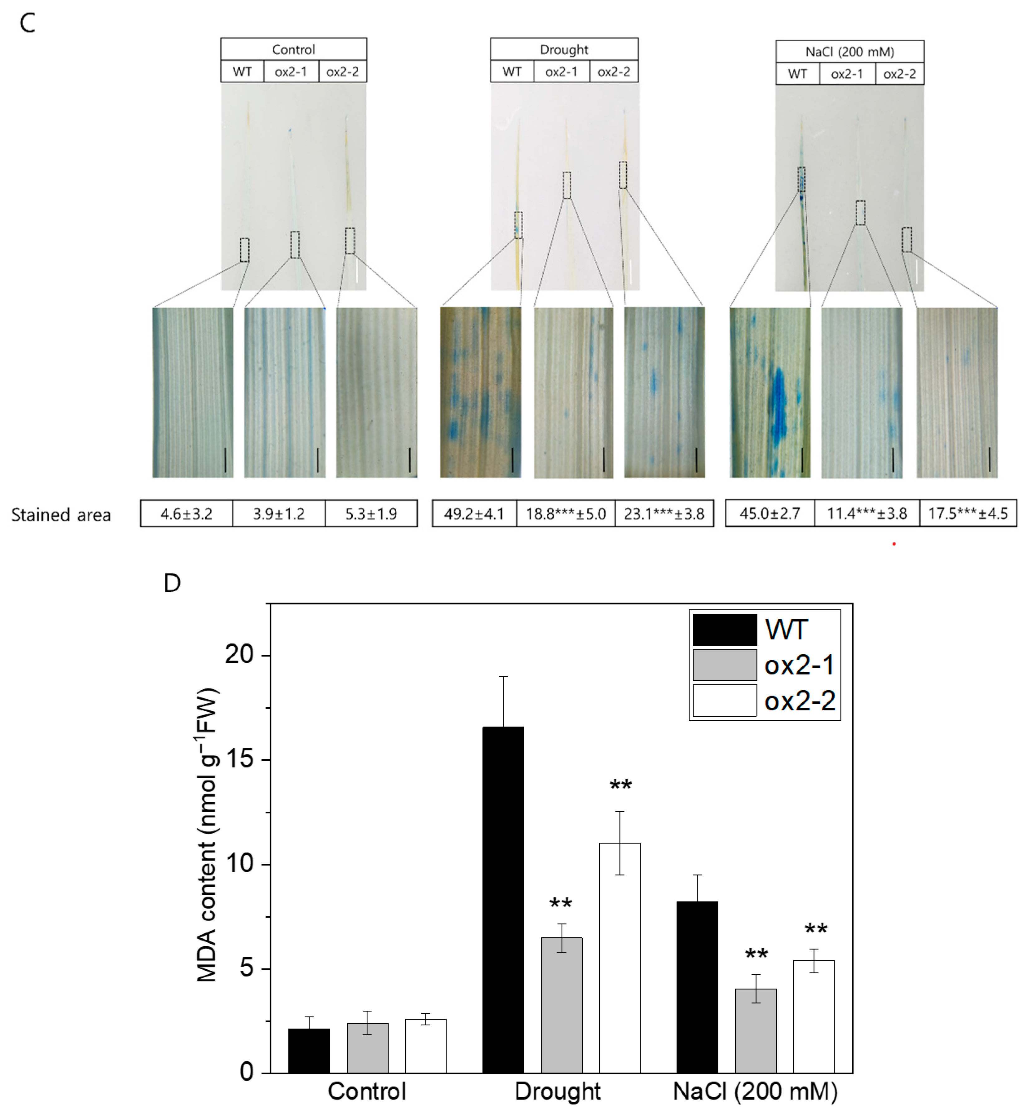 Ijms 26 06918 g003b Ijms 26 06918 g003b