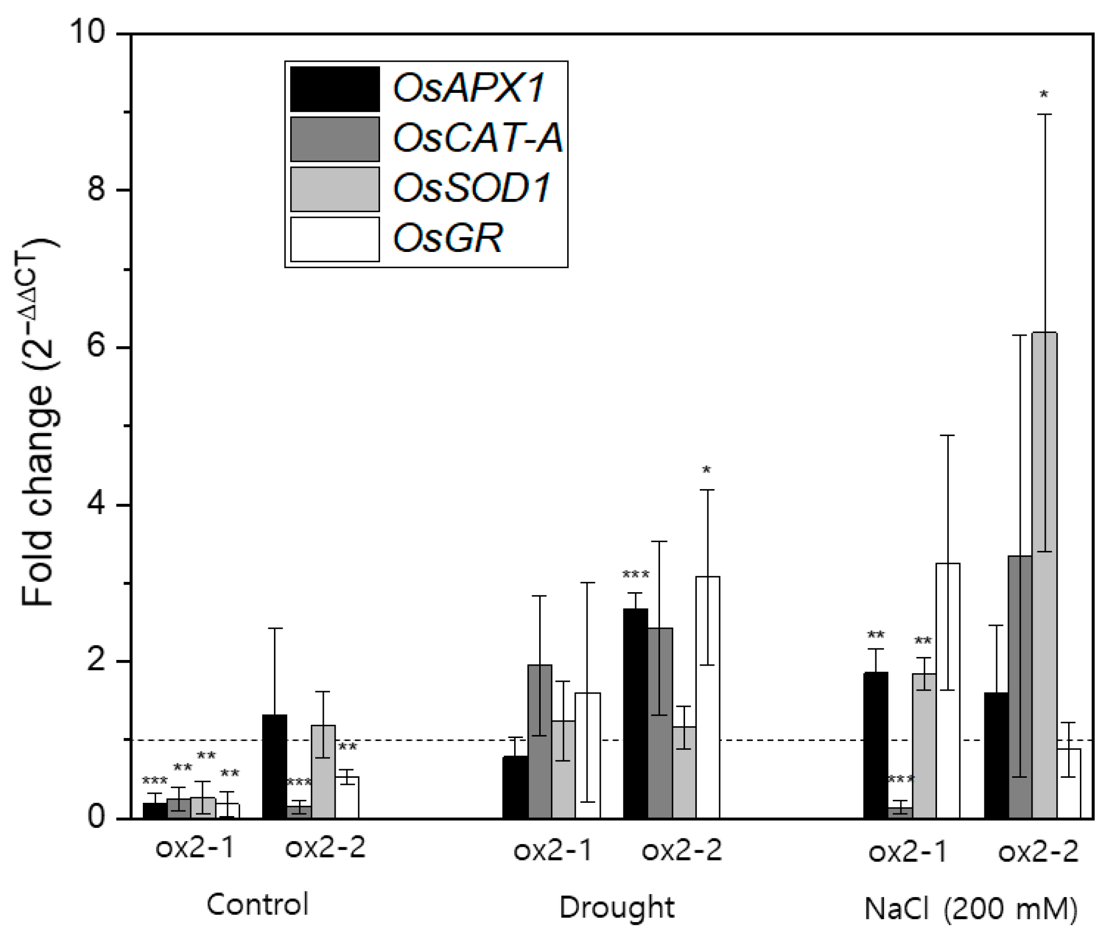 Ijms 26 06918 g004 Ijms 26 06918 g004