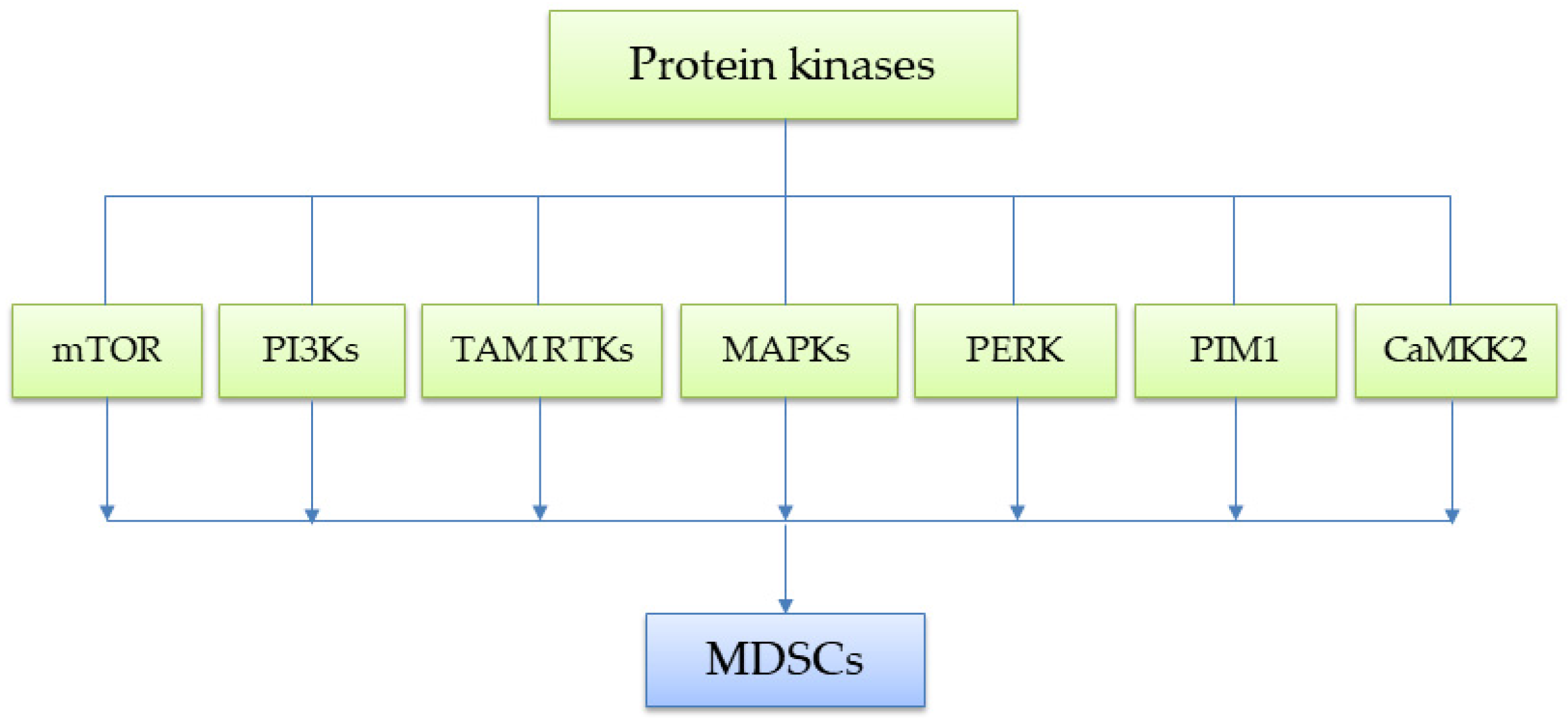 Ijms 26 06936 g001 Ijms 26 06936 g001