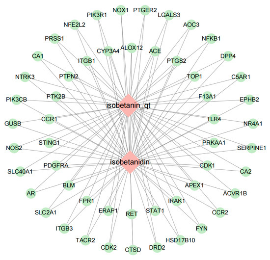 Exploring the Regulatory Mechanism of Total Alkaloids from
