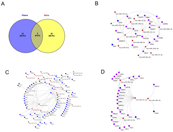 Childhood Asthma Biomarkers Derived from Plasma and Saliva Exosomal miRNAs