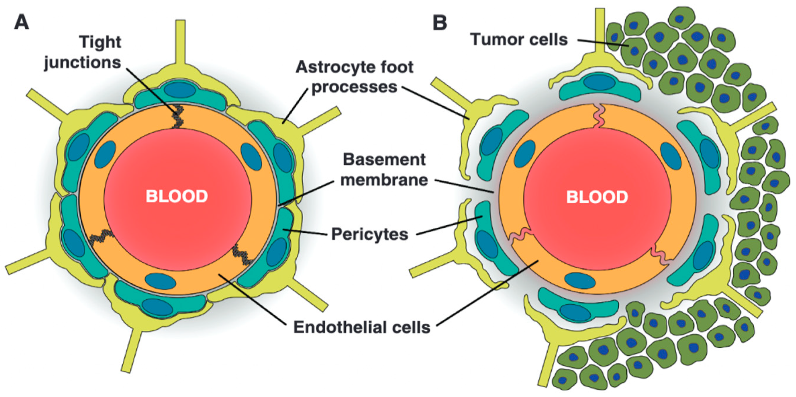 Ijms 26 07050 g003 Ijms 26 07050 g003