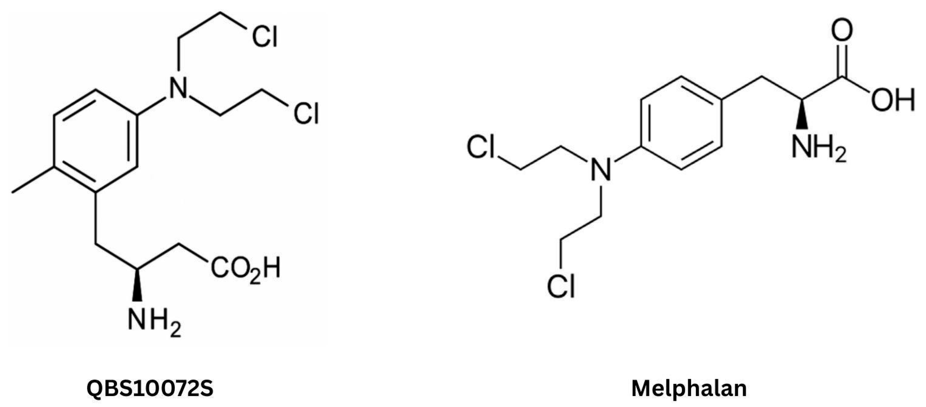 Ijms 26 07050 g005 Ijms 26 07050 g005